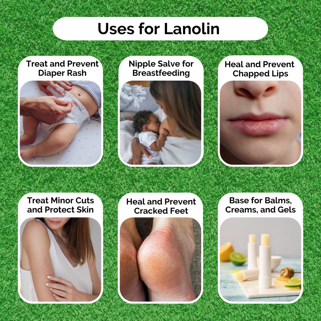 SAAQIN Lanolin (Anhydrous) - Ultra Refined Butter - Use for Lotion, Cream, Lip Balm, Oil, Stick, or Body Butter 4oz - Natural Nipple cream - lip balm Beauty and Personal Care SAAQIN
