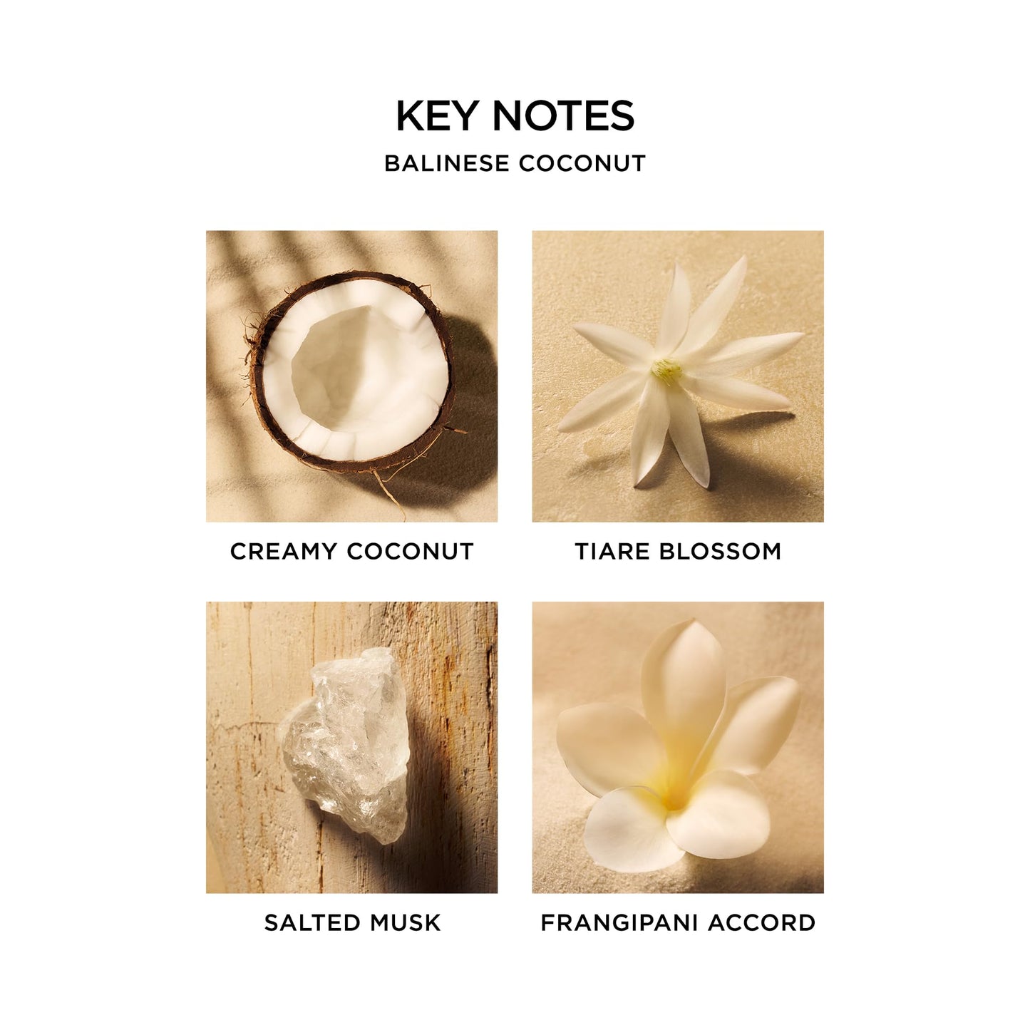 NEST New York Balinese Coconut Body Mist - 125 mL Beauty & Personal Care NEST New York
