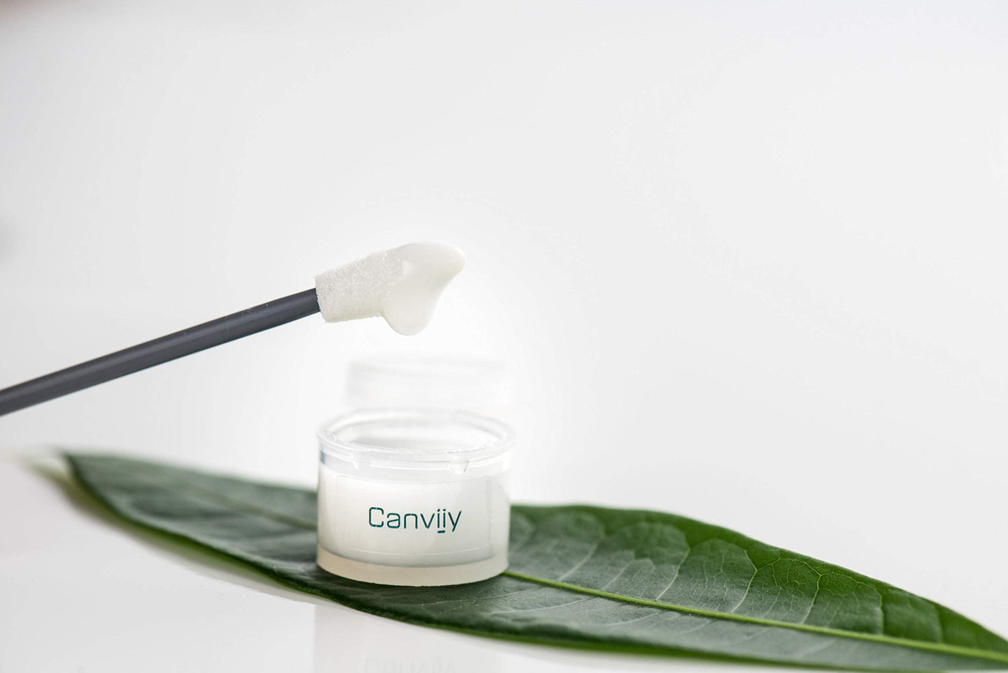 Canviiy Scalpbliss,4 Ounce Beauty & Personal Care Canviiy