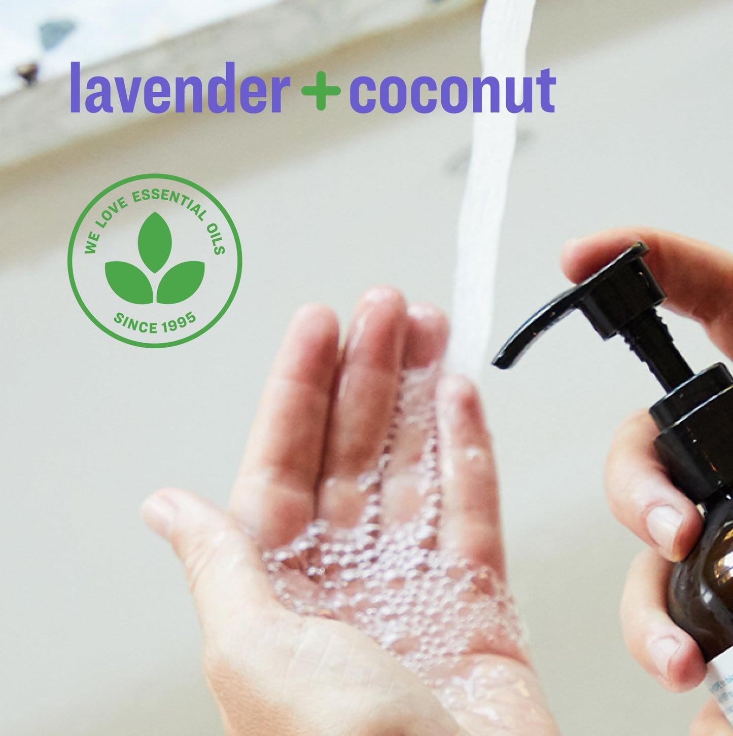 Everyone Liquid Hand Soap, 12.75 Ounce (Pack of 1), Lavender and Coconut, made with Essential Oils for kitchen and bathroom Beauty & Personal Care everyone for every body