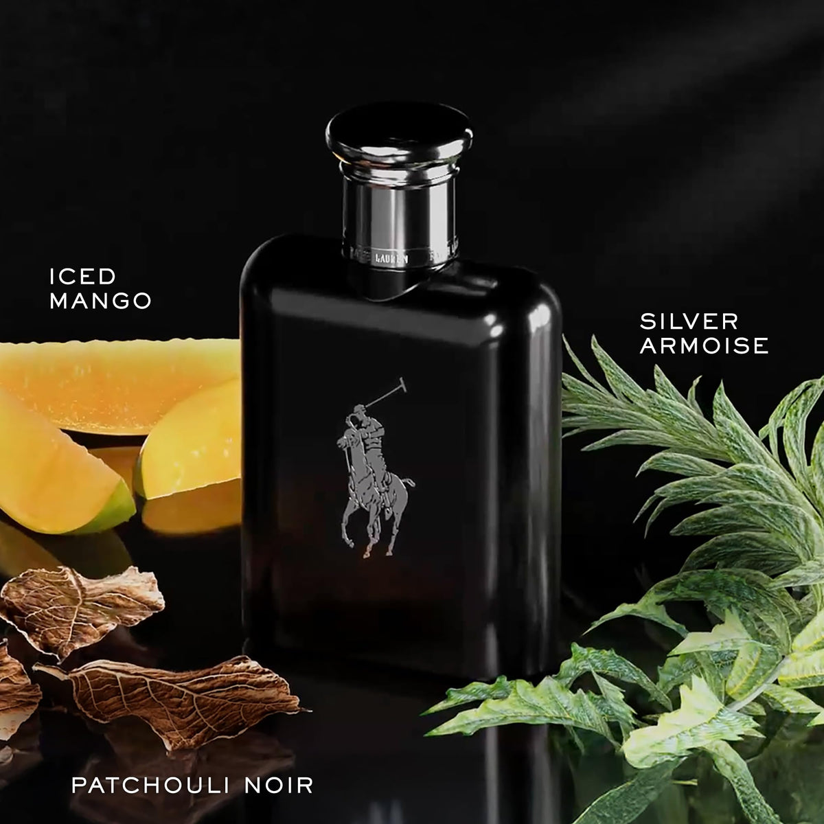 RALPH LAUREN FRAGRANCES Polo Black - Eau de Toilette - Men's Cologne - Woody & Fresh - With Patchouli, Sandalwood, and Mandarin - Medium Intensity Beauty & Personal Care RALPH LAUREN FRAGRANCES
