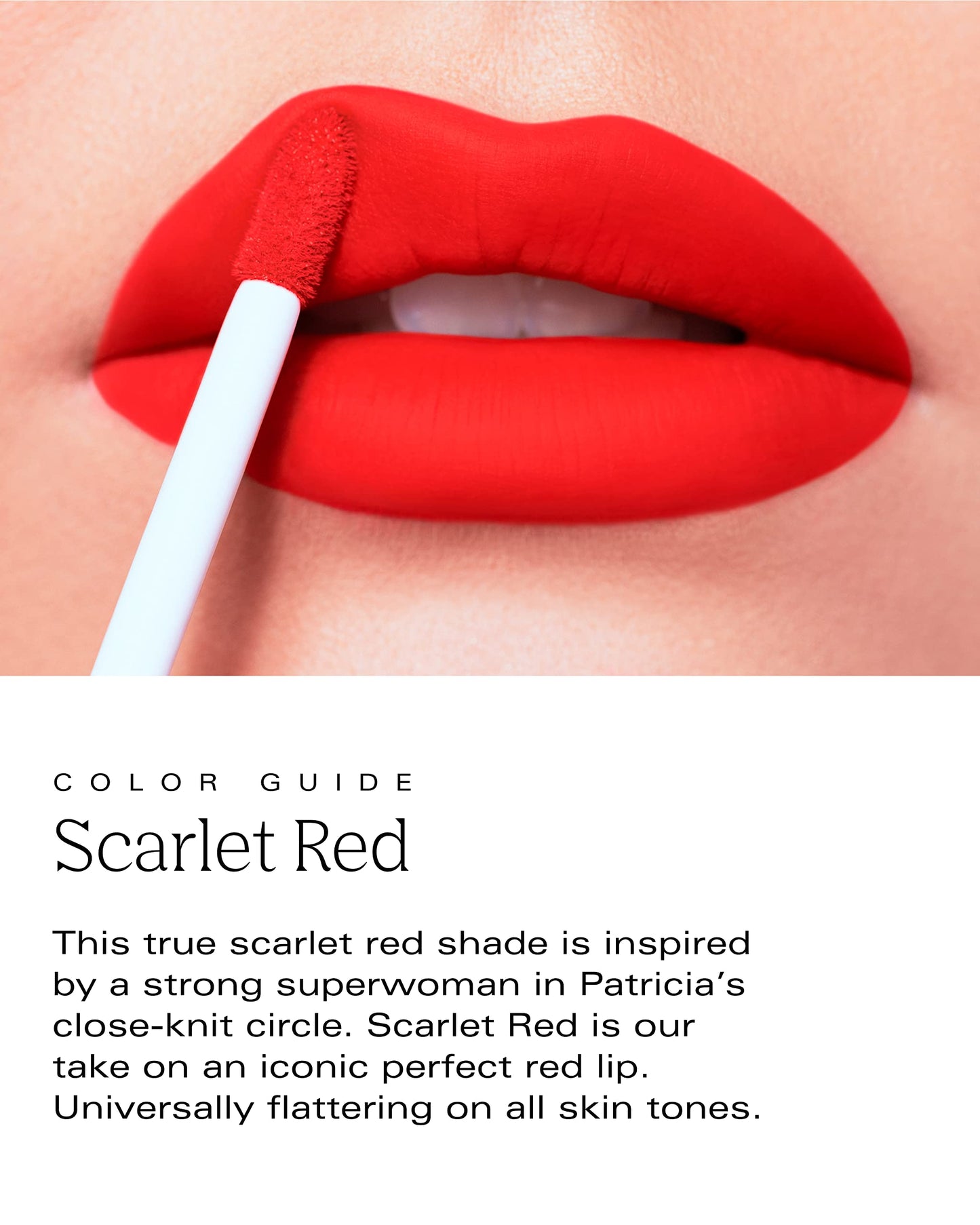 PDL Cosmetics Bold Aspirations Liquid Lipstick (Scarlett Red) | Highly Pigmented Smooth Matte Finish | Red Tone | Long Lasting, Non-Transfer Beauty & Personal Care PDL Cosmetics