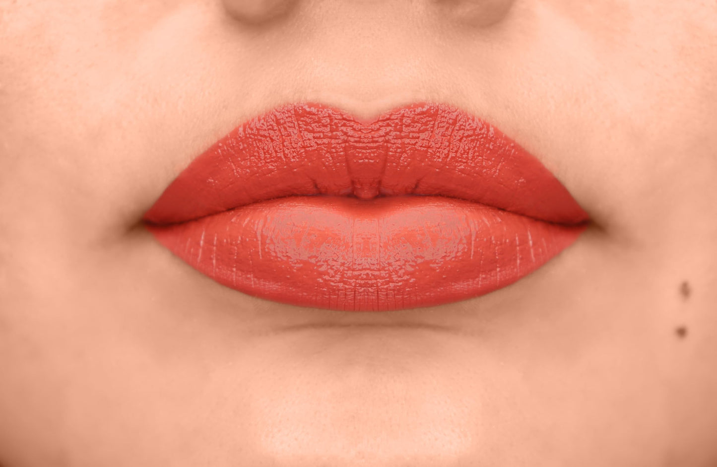 L.A. COLORS Velvet Plush Creamy Lip Color, Velour CLC666 Beauty & Personal Care L.A. COLORS