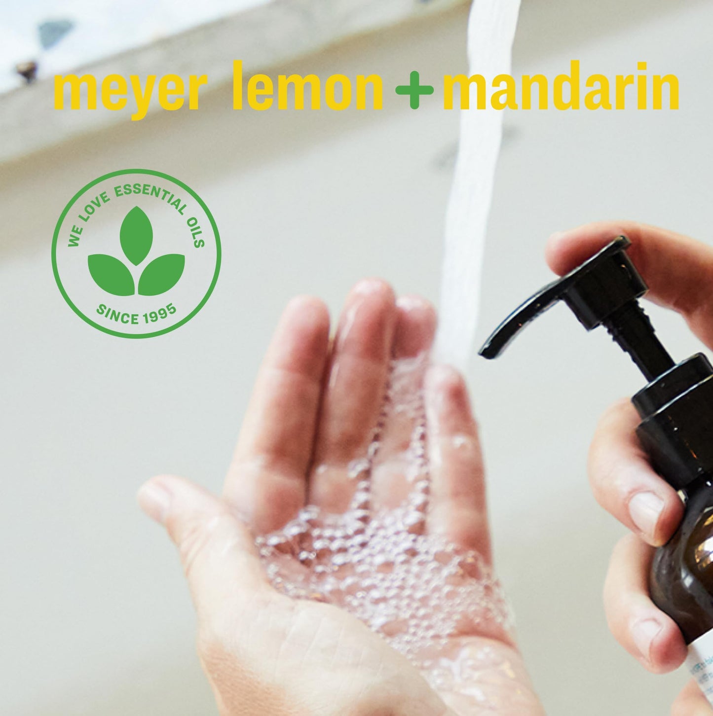 Everyone Liquid Hand Soap Refill, 1 Gallon, Meyer Lemon and Mandarin, made with Essential Oils for kitchen and bathroom Beauty & Personal Care everyone for every body