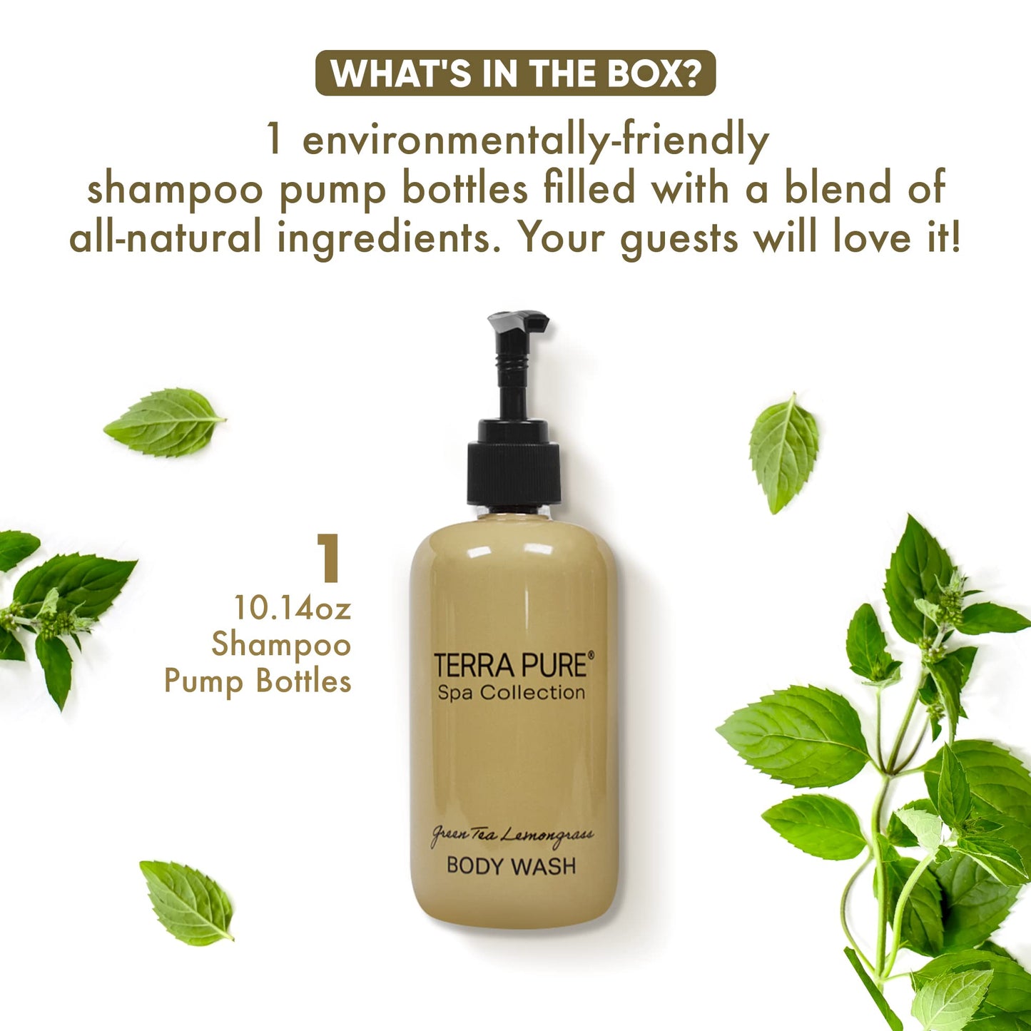 Terra Pure Body Wash | Spa Collection | Hotel Amenities in Pump Bottle | 10.14 oz. / 300 ml (Single Bottle) Beauty & Personal Care Terra Pure