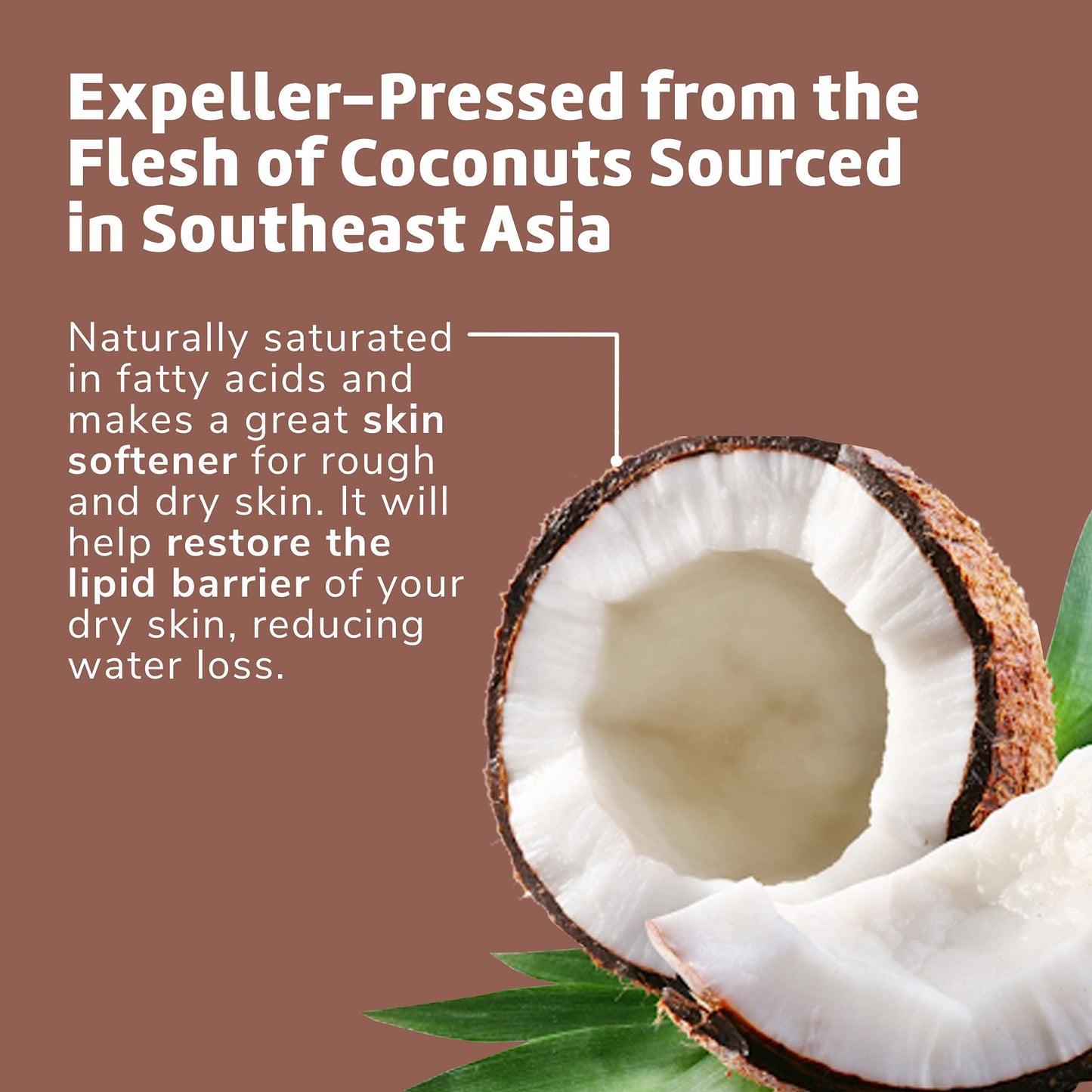 De la Cruz Coconut Oil - Expeller Pressed Coconut Oil for Skin and Hair - Natural Moisturizer for Skin and Hair - 2.2oz Beauty & Personal Care De La Cruz