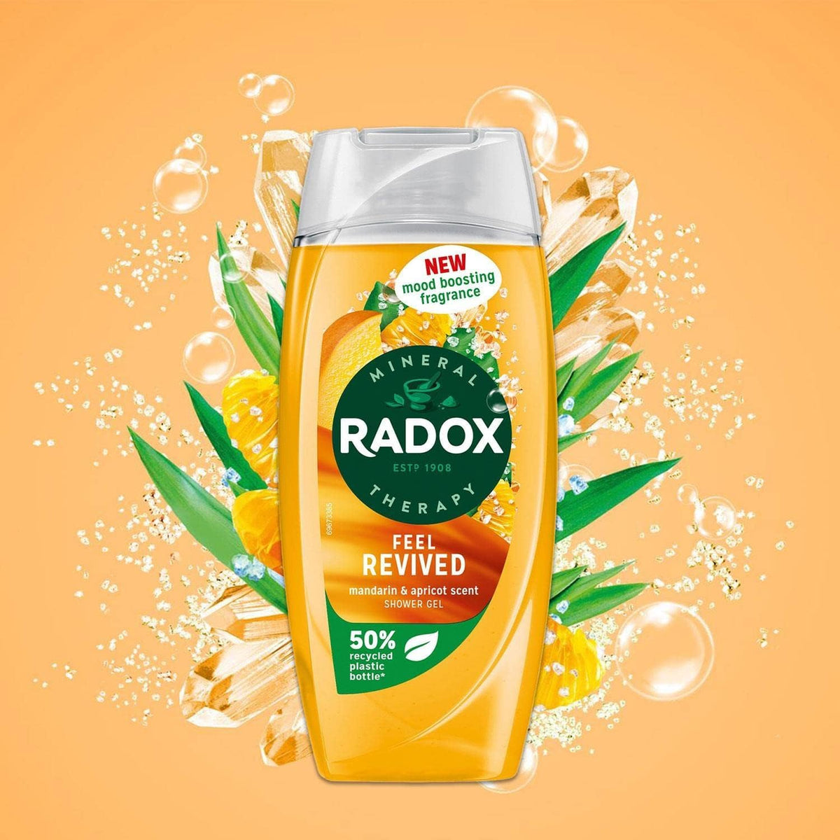 Radox Feel Revived Shower Gel, 7.61 Fl Oz Beauty & Personal Care Radox