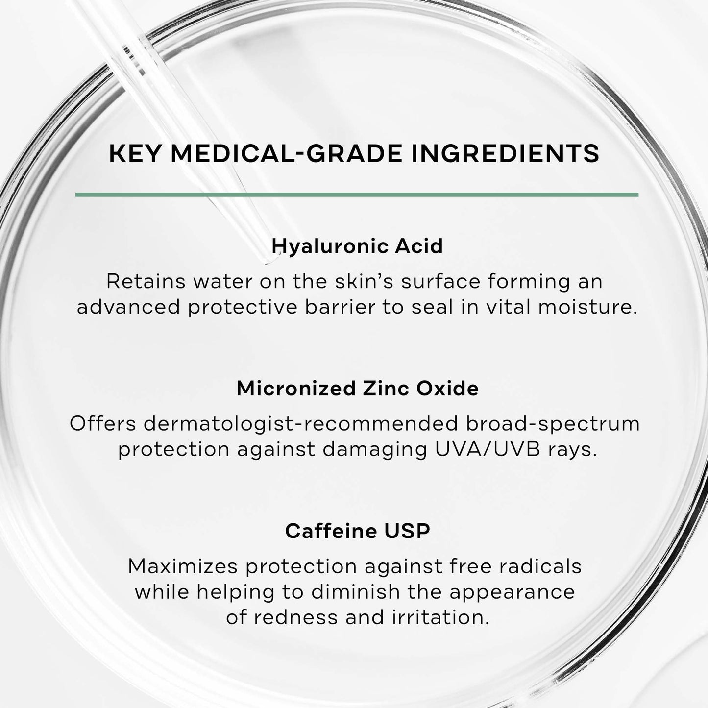 Replenix Antioxidant Hydrating Sunscreen SPF 50+ - Medical Grade Sun Protection, Zinc Oxide, UVA/UVB Protection, Safe for Sensitive Skin, 4 oz. Beauty & Personal Care Replenix