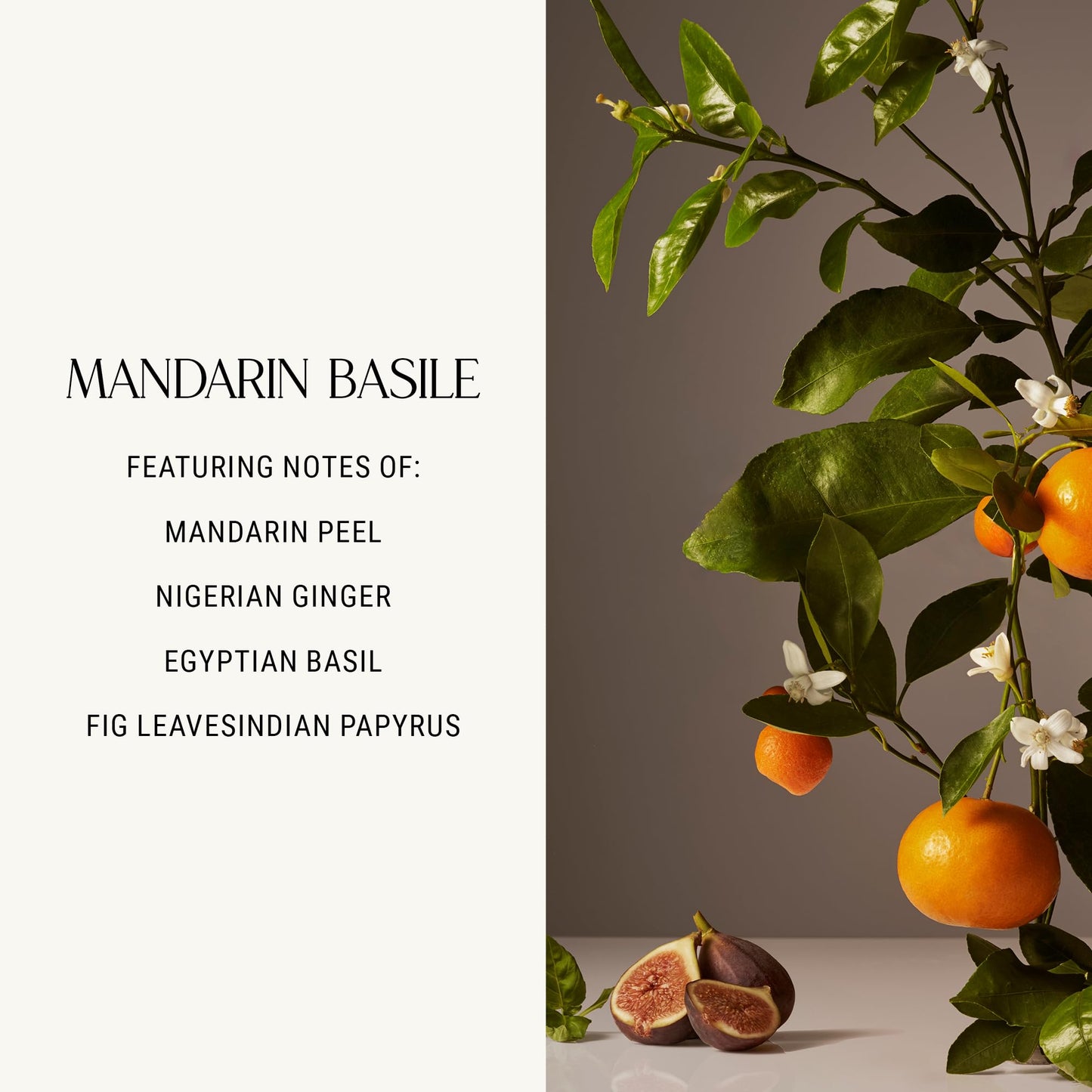 Homecourt Hand Wash, Gently Cleanses & Hydrates, Removes Dirt & Debris Without Irritating Skin, Clean Formula, Mandarin Basile, 12 fl oz Beauty & Personal Care Homecourt