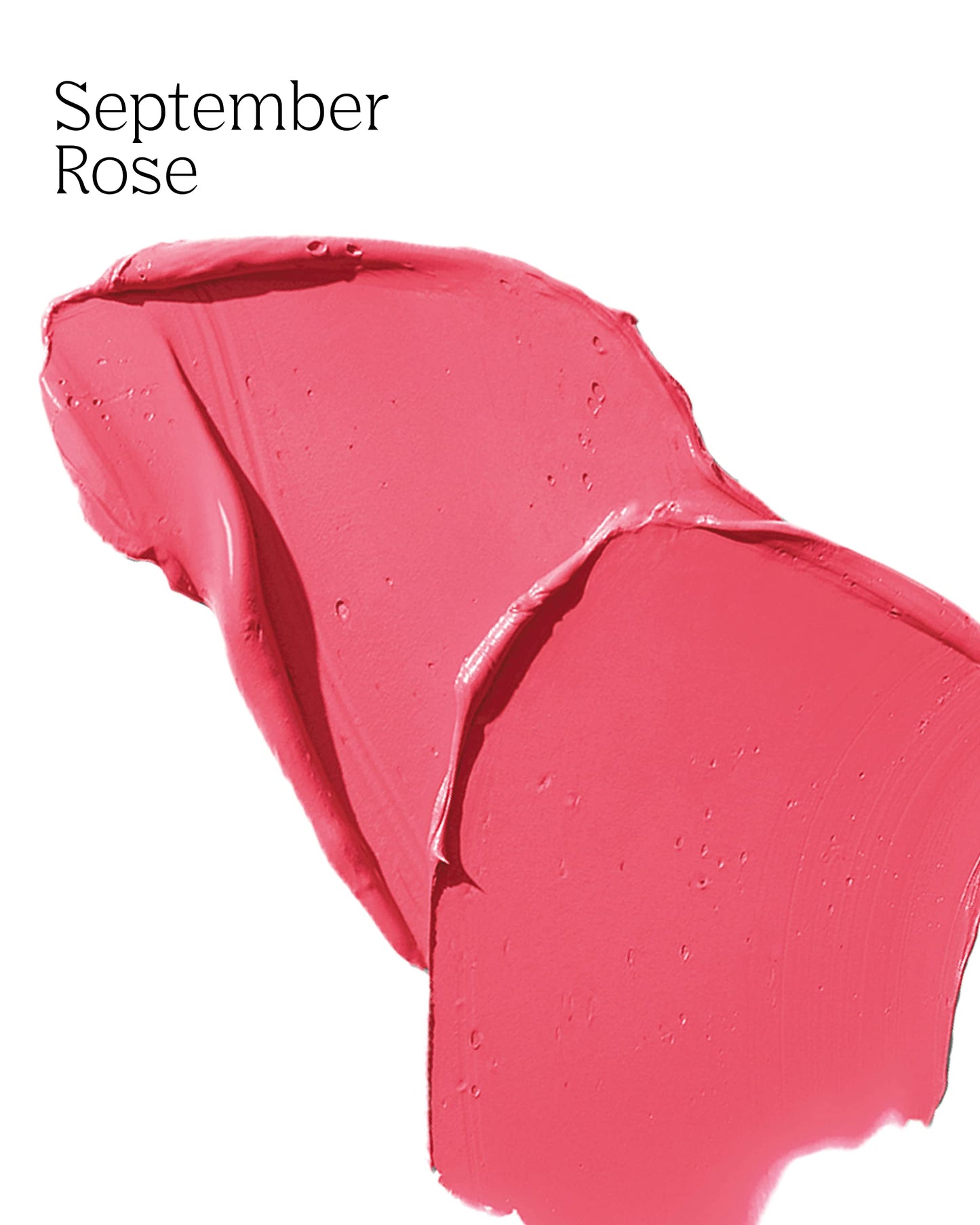 PDL Cosmetics Bold Aspirations Liquid Lipstick (September Rose) | Highly Pigmented Smooth Matte Finish | Rosé Tone | Long Lasting, Non-Transfer Beauty & Personal Care PDL Cosmetics