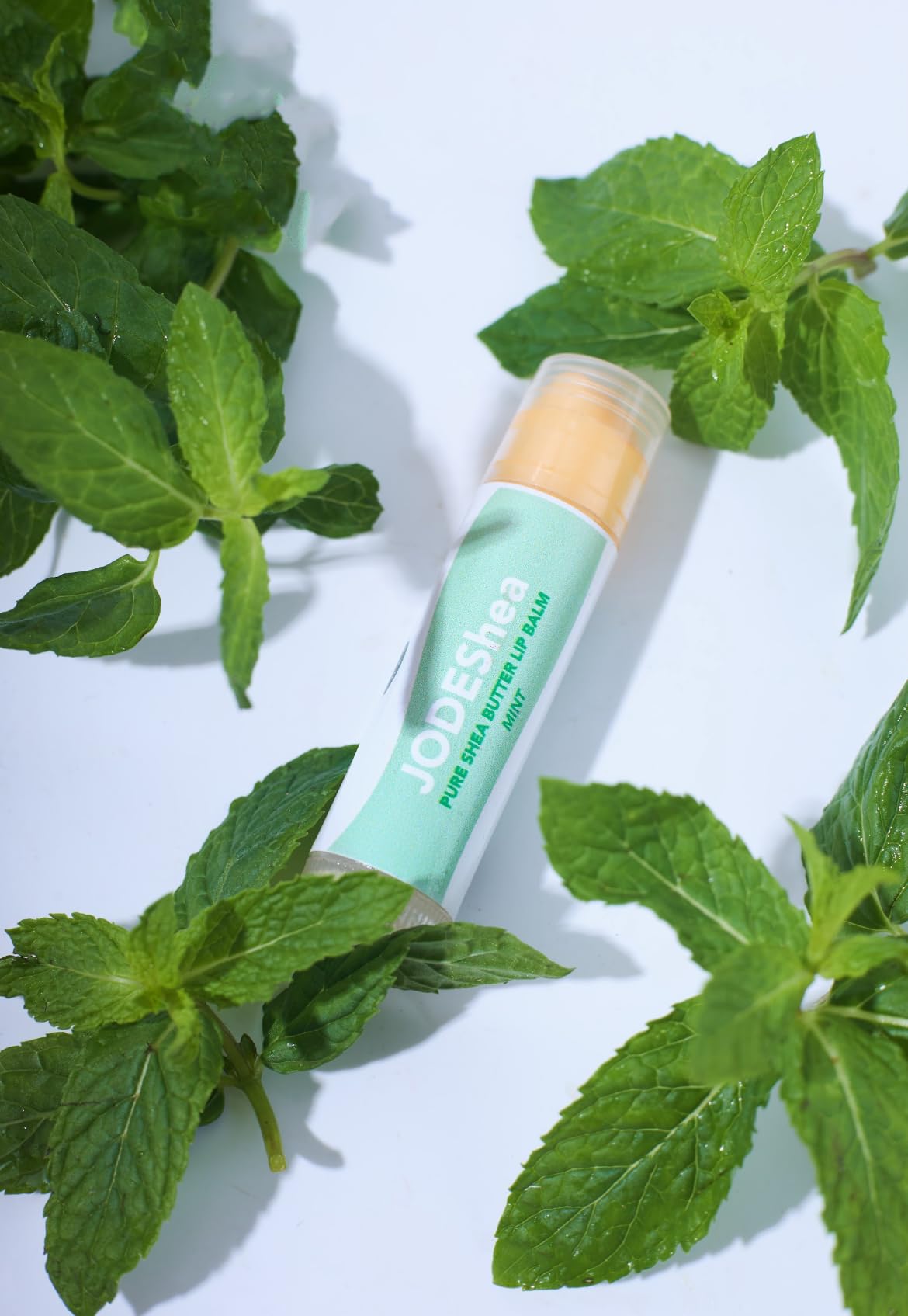 JODEShea Pure Shea Butter Lip Balm, MINT, Natural Soothing Formula Beauty and Personal Care JODEShea
