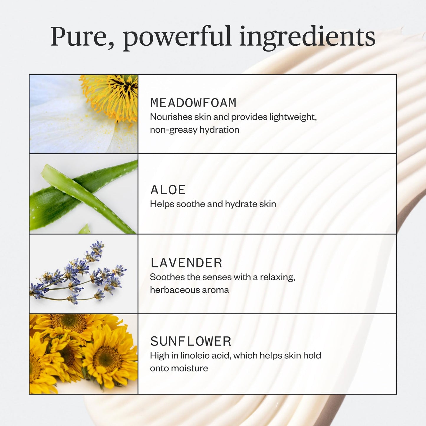 Ursa Major Botanic Buzz Body Lotion | Natural, Vegan and Cruelty-Free | Moisturizes, Soothes and Hydrates Skin | Formulated for Men & Women | 7.37 Beauty & Personal Care Ursa Major