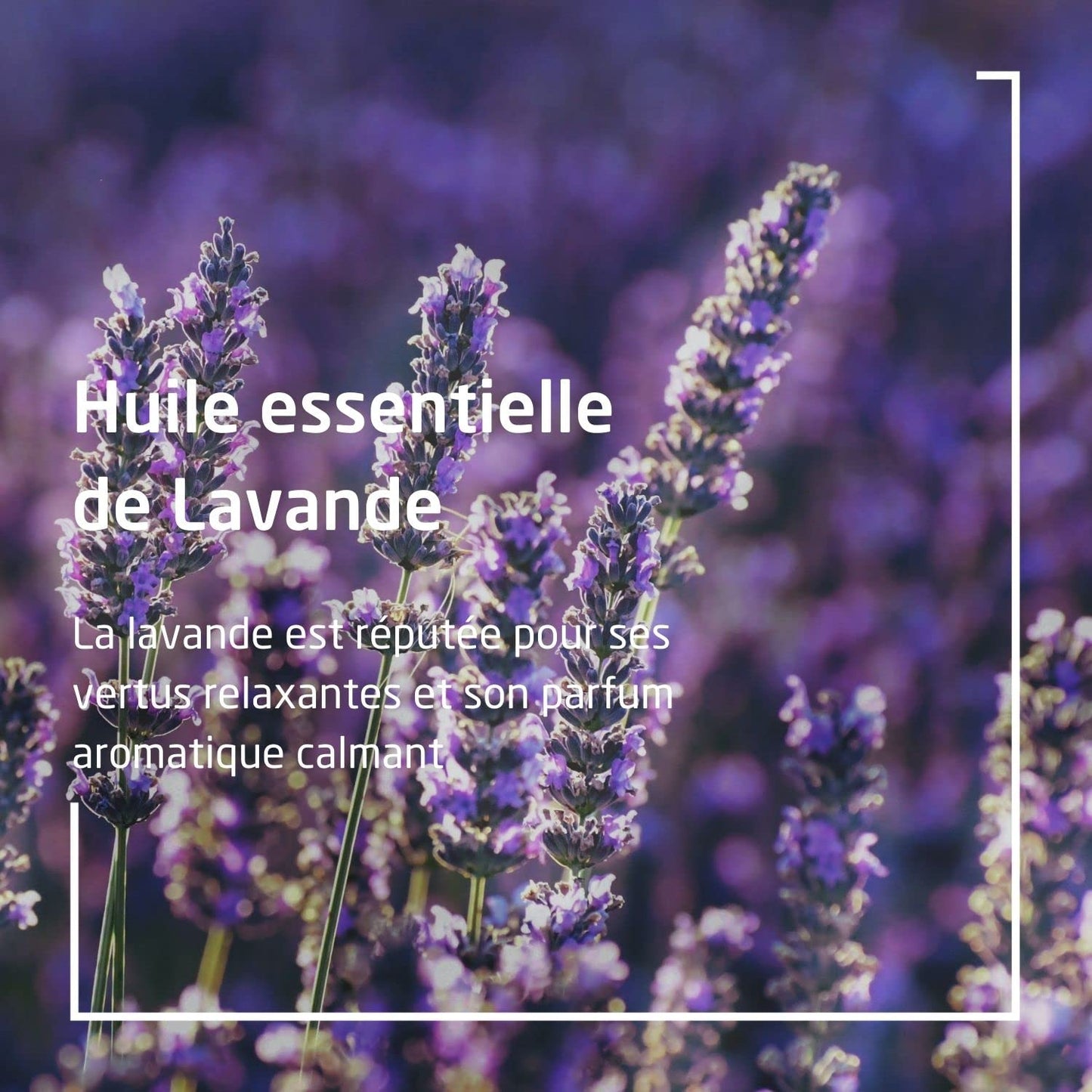 Weleda Lavender Relaxing Bath Milk, 6.8 FZ Beauty & Personal Care Weleda
