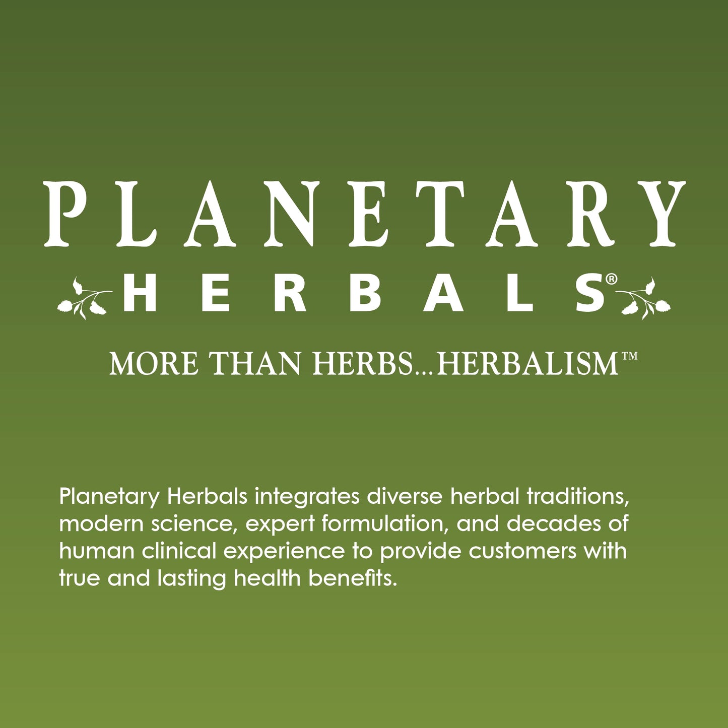 Planetary Herbals Horse Chestnut Cream - Tonifier for Tissues and Vein Appearance - 2 oz Beauty & Personal Care Planetary Herbals