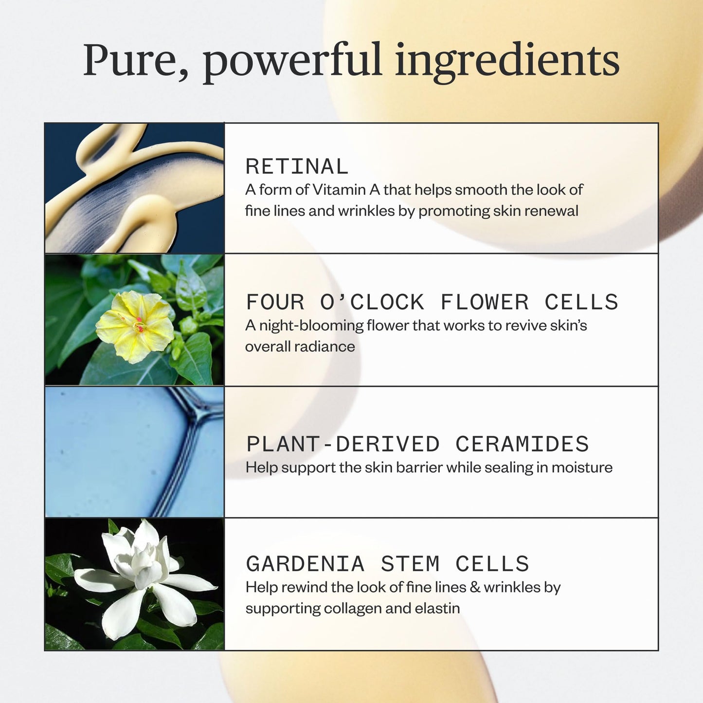 Ursa Major Lunar Bloom Retinal Serum | Potent & Gentle Facial Moisturizer | Smooth Fine Lines & Wrinkles | Vegan & Cruelty-Free | For All Skin Types | Beauty & Personal Care Ursa Major