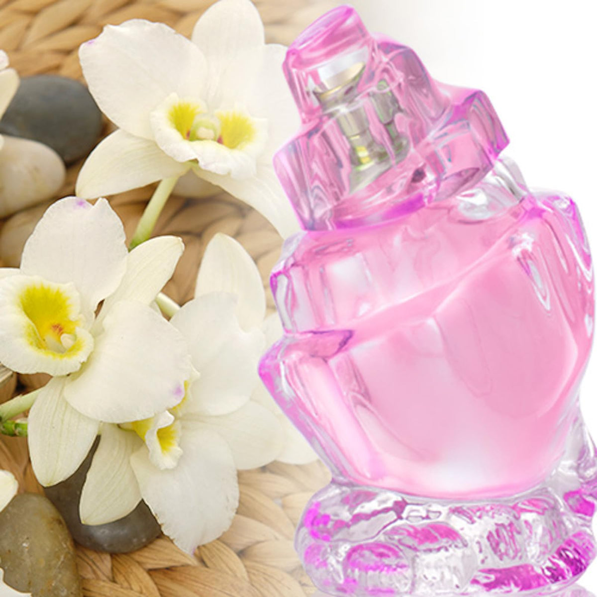 Zermat, Perfume for Women, Caribe Rose, Floral - Fruity Scent 2.53 Fl. Oz Beauty & Personal Care Zermat