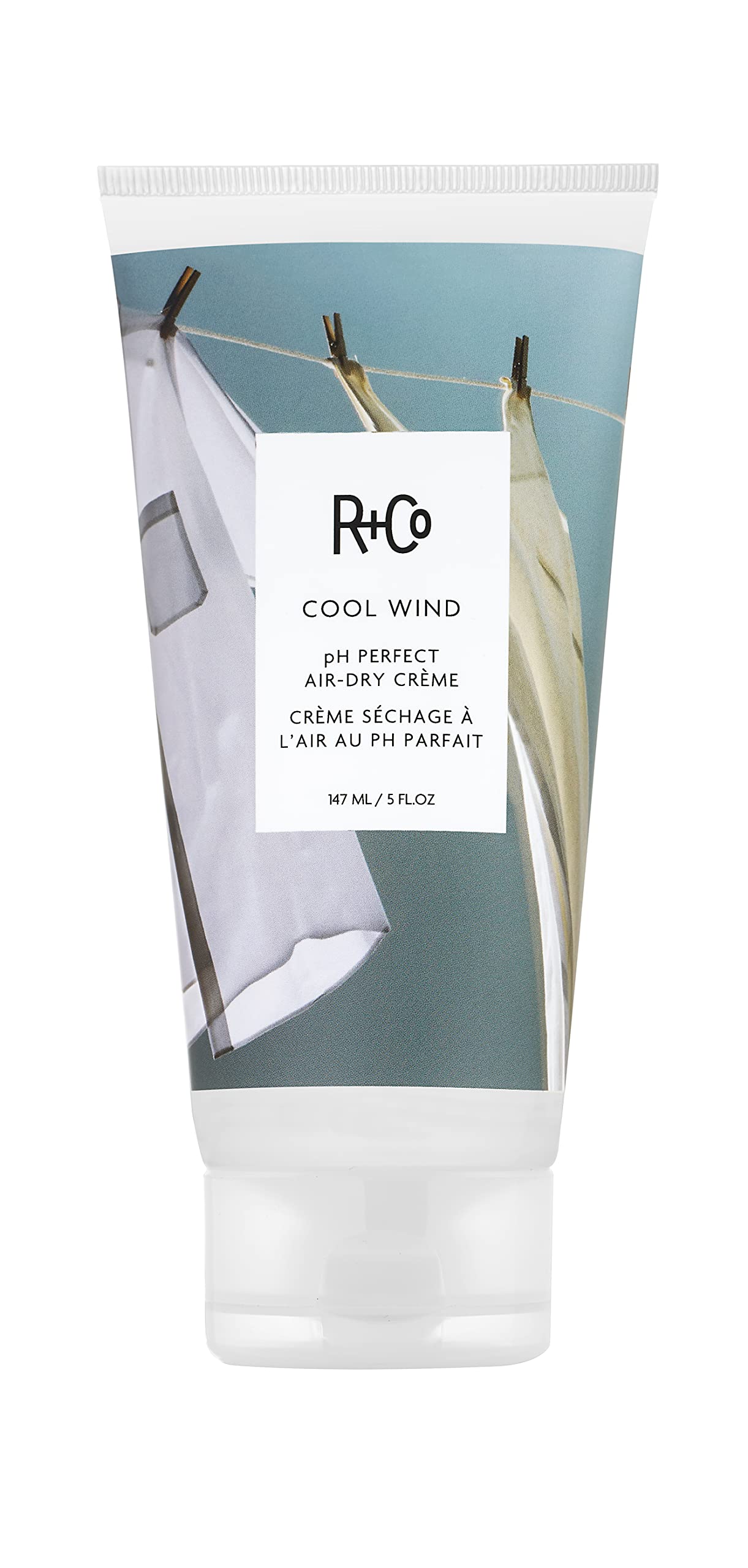 R+Co Cool Wind pH Perfect Air Dry Hair Cream (5 Oz) | Hydrates + Tames + Softens | Vegan + Cruelty-Free | Beauty & Personal Care R+Co