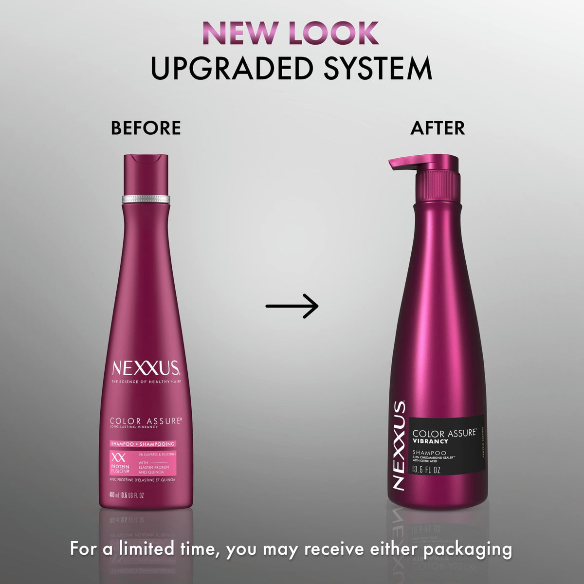 Nexxus COLOR ASSURE Shampoo for Vibrancy for Color Treated Hair Powered by CHROMABOND SEALER with Citric Acid 13.5 oz Beauty & Personal Care Nexxus
