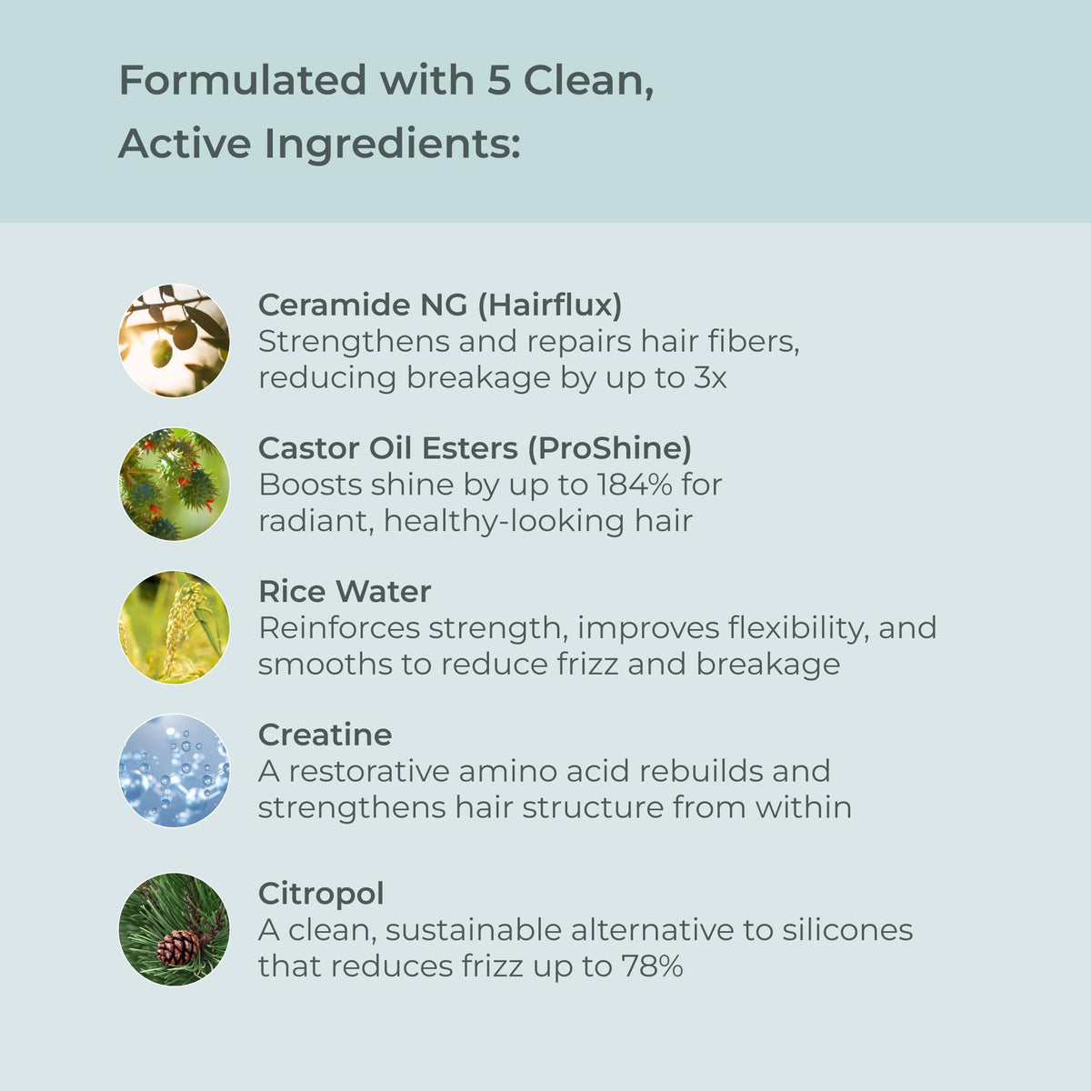 EVOLVh - UltraShine Hydrating Shampoo (8.5 fl oz | 250 mL)