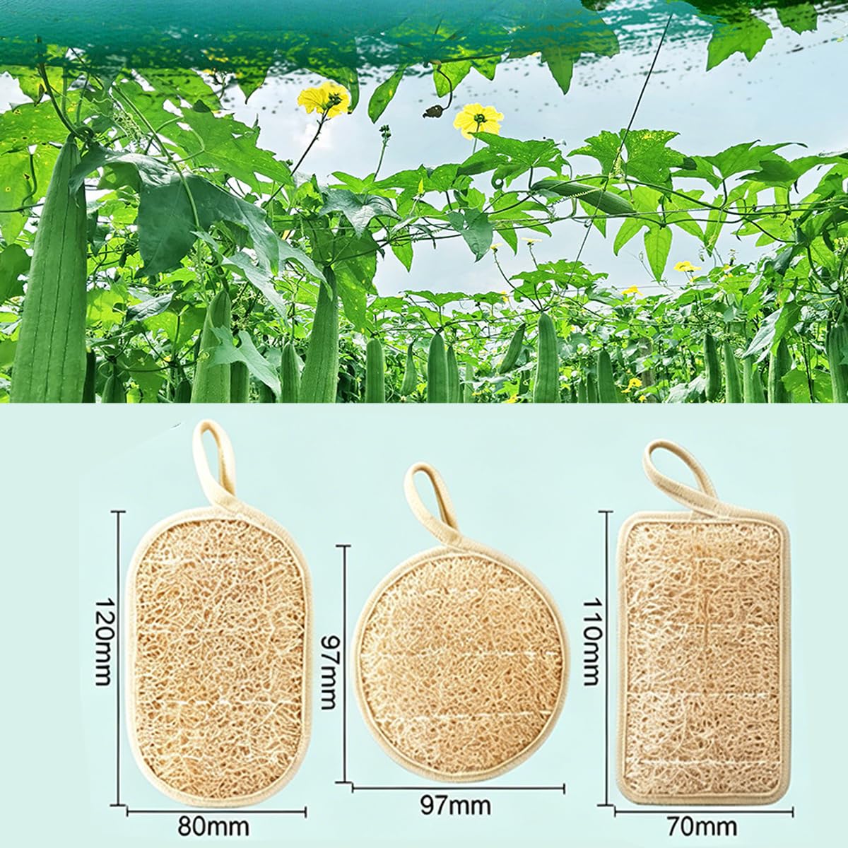 Pwefopessc Loofah Sponges Natural BPA Free Loofah for Dishes, Natural Loofah & Silver Wire Kitchen Sponge with Hanging Loop for Cookware,Exfoliating Beauty and Personal Care Pwefopessc