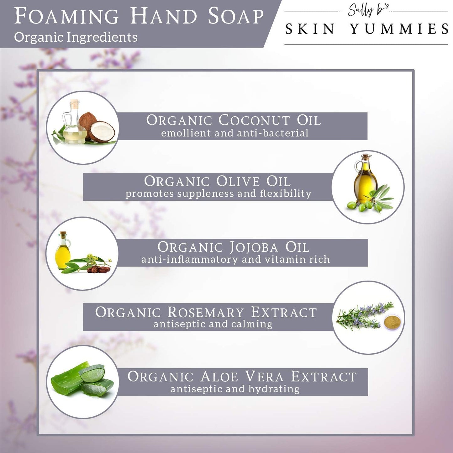 Sally B's Citrus Vanilla Foaming Hand Soap - Wash for Dry Skin/EWG Verified/ 8.5 OZ(Citrus Vanilla) Beauty & Personal Care Sally B's Skin Yummies