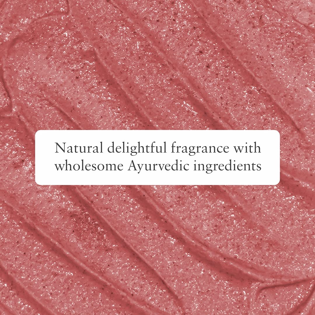 Just Herbs Organic Moisturizing Lip Scrub with Liquorice for Dry, Chapped & Smoker Lips - SLS & Paraben Free, Rose 15gm Beauty and Personal Care Just Herbs