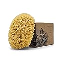 Baudelaire Sea Wool Sponge 5.5" - Natural Sea Sponge for Bathing and Shower - Durable, Sustainable & Environment-Friendly Loofah for Body Beauty & Personal Care Baudelaire