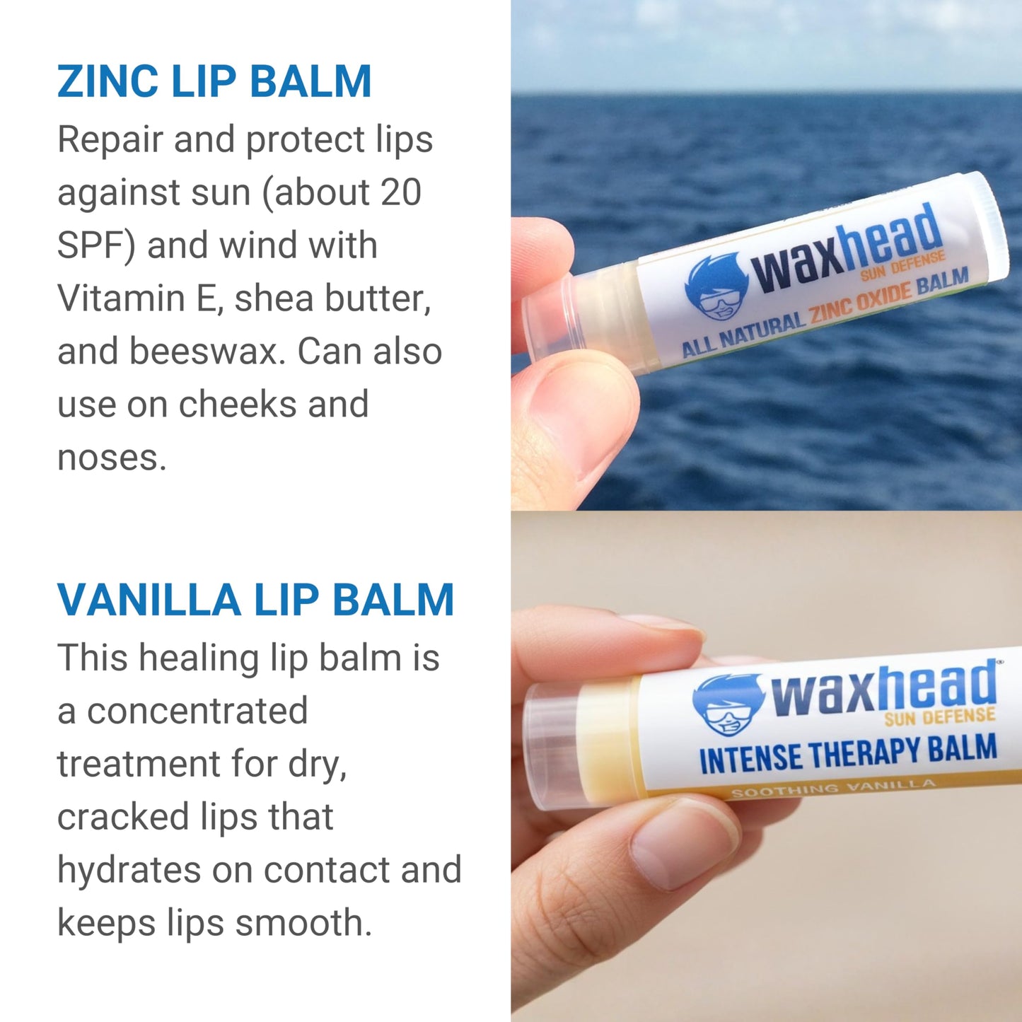 Waxhead Travel Size Sunscreen Sampler Box - Non-Nano Zinc Oxide, Coral Reef Safe, Biodegradable Sunblock SPF 30. Lip Balms, Solid Mini Paste Tins Beauty & Personal Care Waxhead Sun Defense Foods