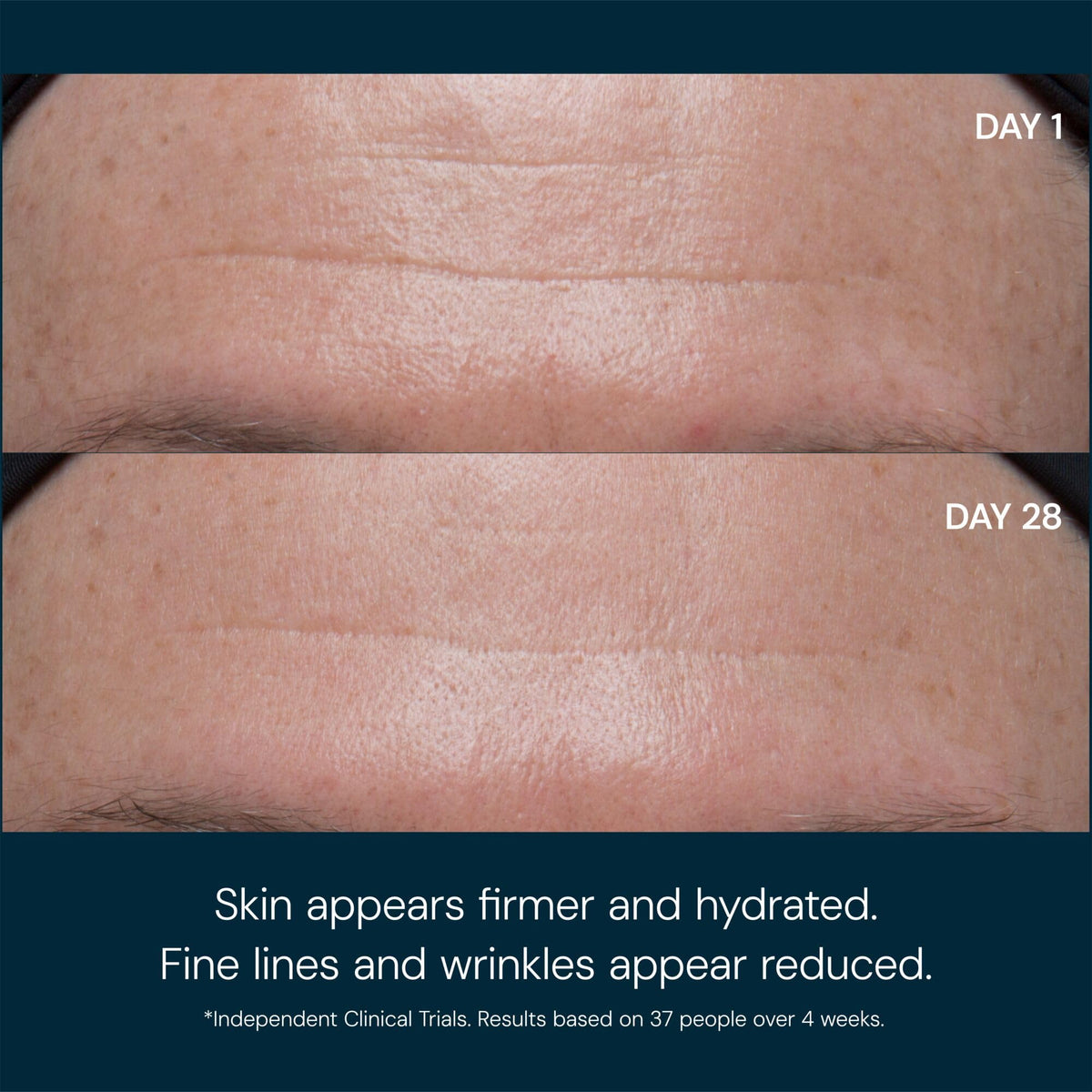 ELEMIS Pro-Collagen Marine Cream SPF 30, Lightweight Anti-Wrinkle Daily Facial Moisturizer Beauty & Personal Care ELEMIS