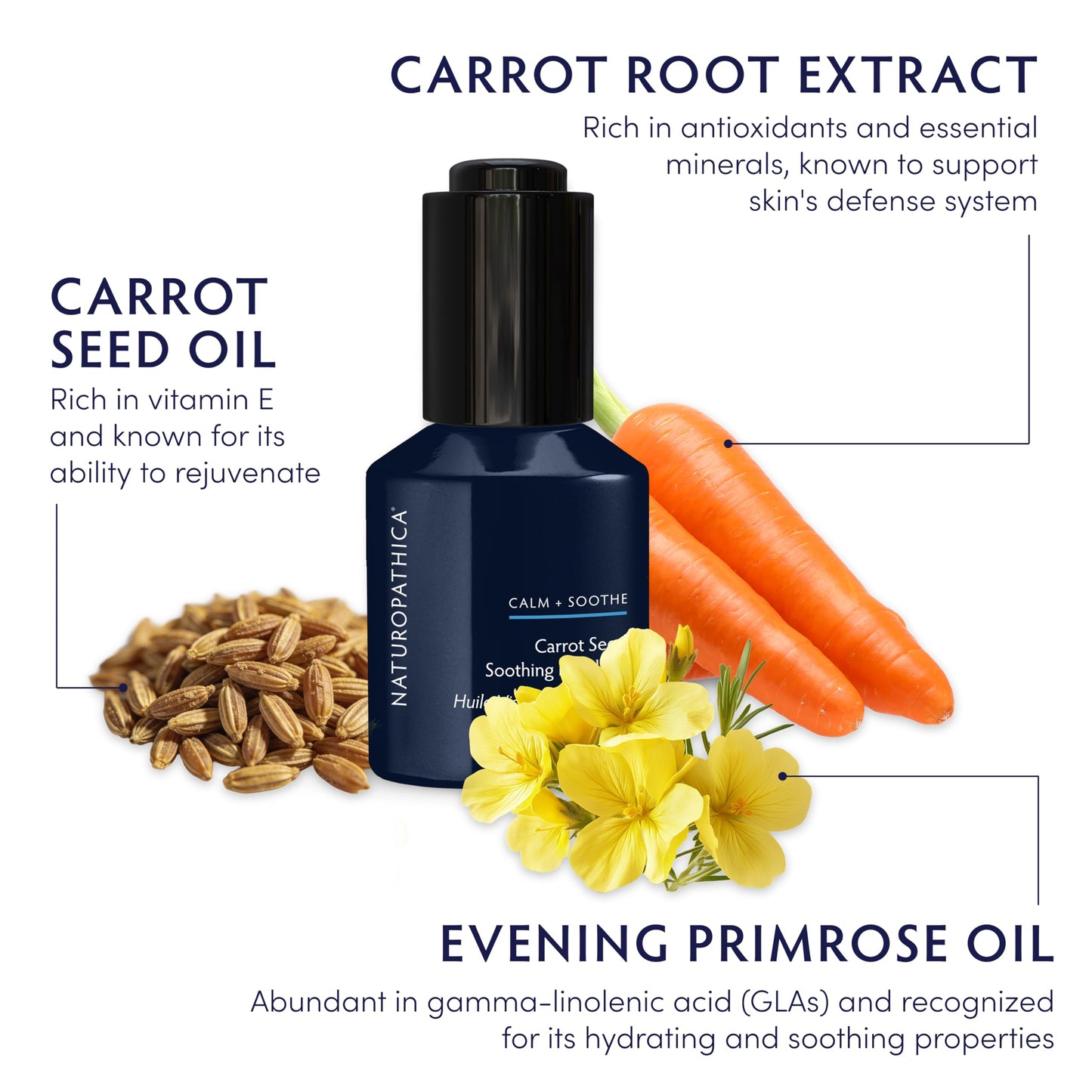 Naturopathica Carrot Seed Soothing Facial Oil, Rejuvenating Face Oil to Help Prevent Redness & Protect Skin, Hydrating Antioxidant Oil for Face, 1.18 Beauty & Personal Care Naturopathica