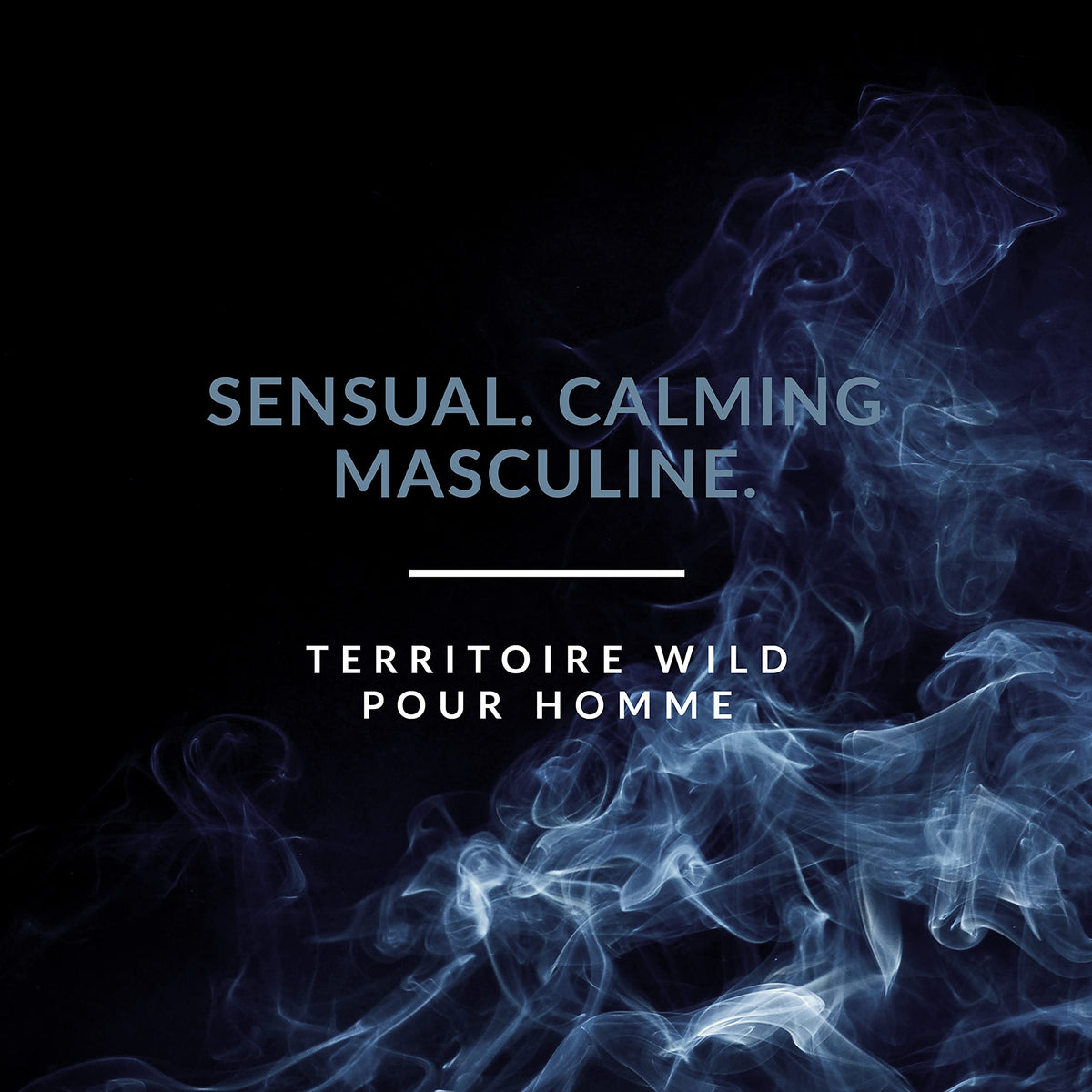 Territoire Eau De Parfum, Men's Cologne (Wild) Beauty & Personal Care Territoire