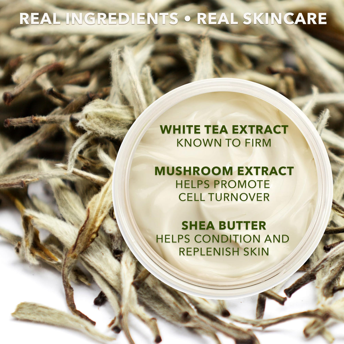 Earth To Skin Tea Time White Tea Day Cream - Hydrating Face Moisturizer with Hyaluronic Acid, Shea Butter & Glycerin - 4.0 fl oz Beauty & Personal Care Earth To Skin