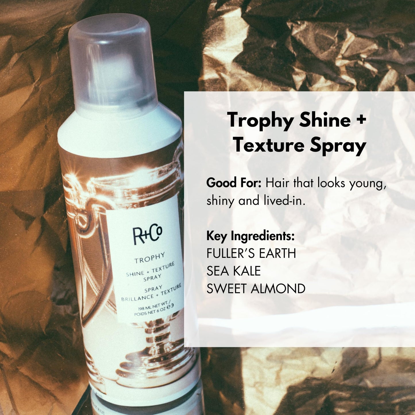 R+Co Trophy Shine + Texture Spray 198 ml / 6 oz Beauty & Personal Care R+Co