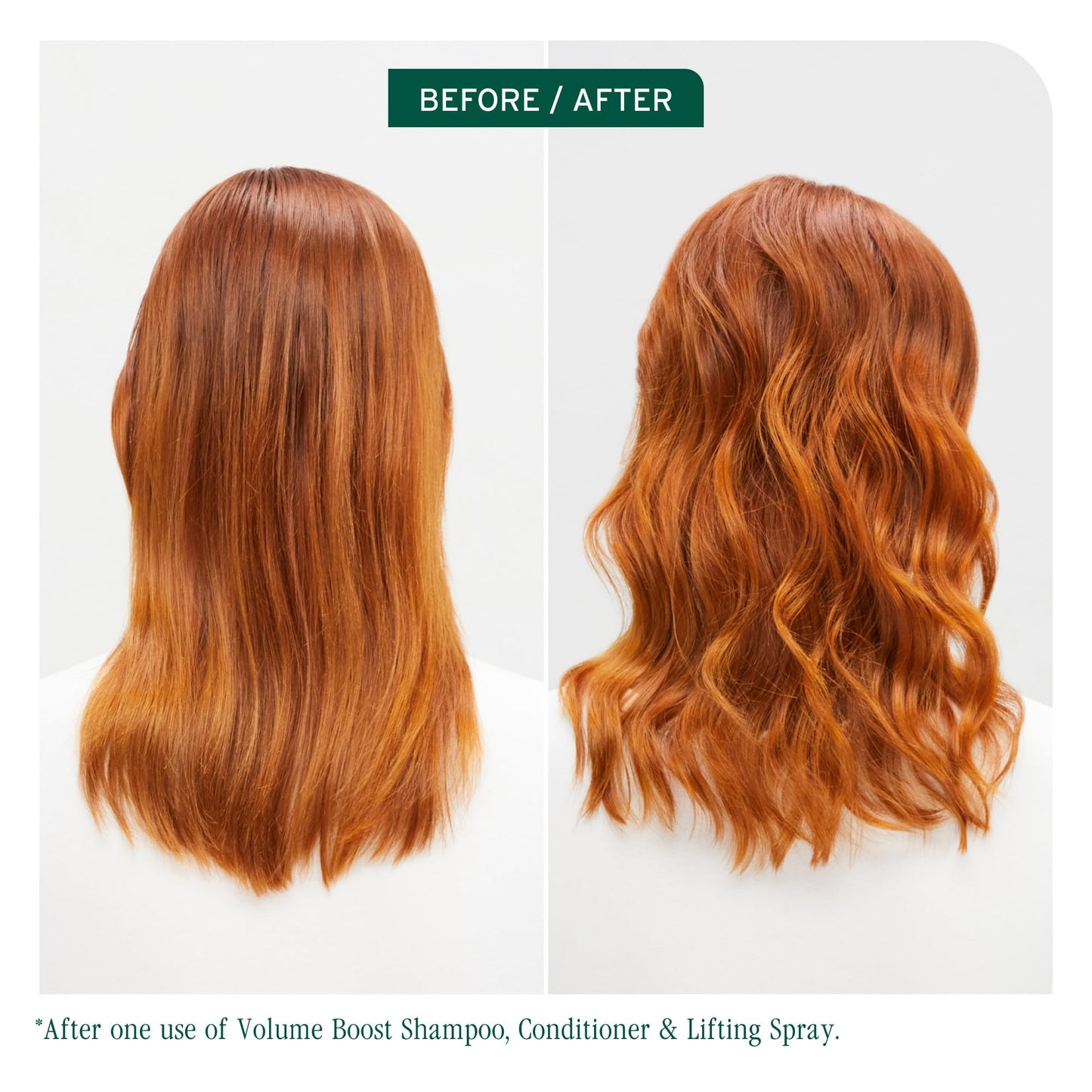 Biolage Volume Boost Volumizing Spray - Adds Bounce, Movement & Fullness, Root Lift Spray for Fine Hair, Soy Protein & Polymers, Paraben-Free & Vegan Beauty & Personal Care Biolage