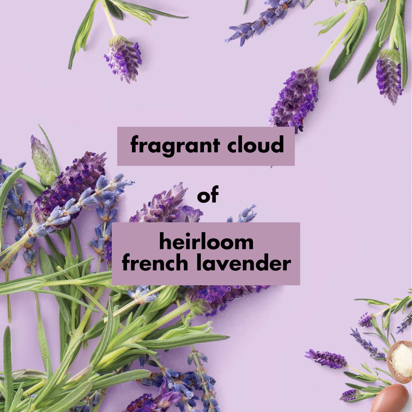 Love Beauty and Planet Soothe & Serene Body Lotion for Soothed Skin Argan Oil & Lavender Natural Ingredients, Plant-Based Moisturizers, Vegan Beauty & Personal Care Love Beauty And Planet