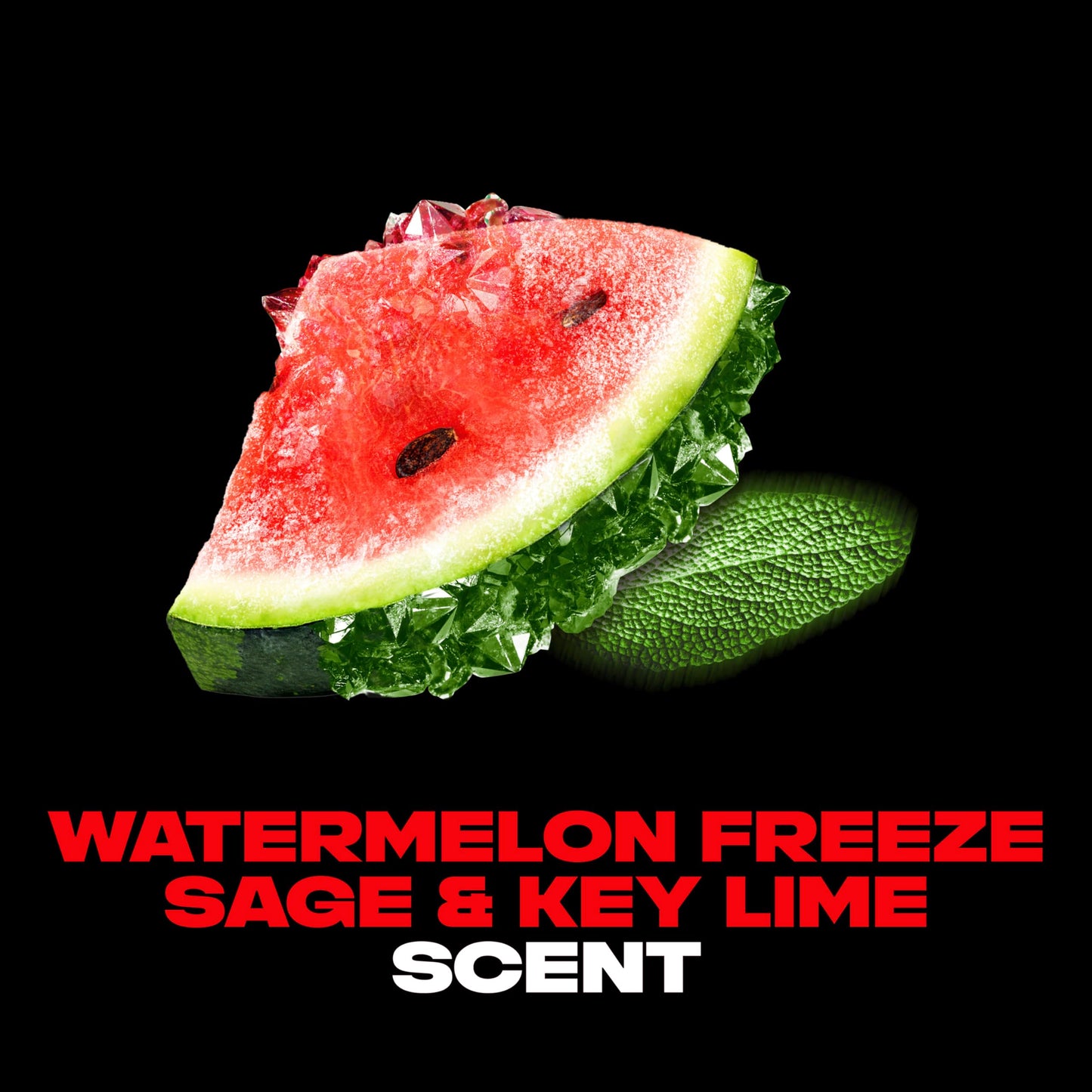 AXE Deodorant Body Spray Watermelon Freeze Fine Fragrance Aluminum Free 4 oz Beauty and Personal Care AXE