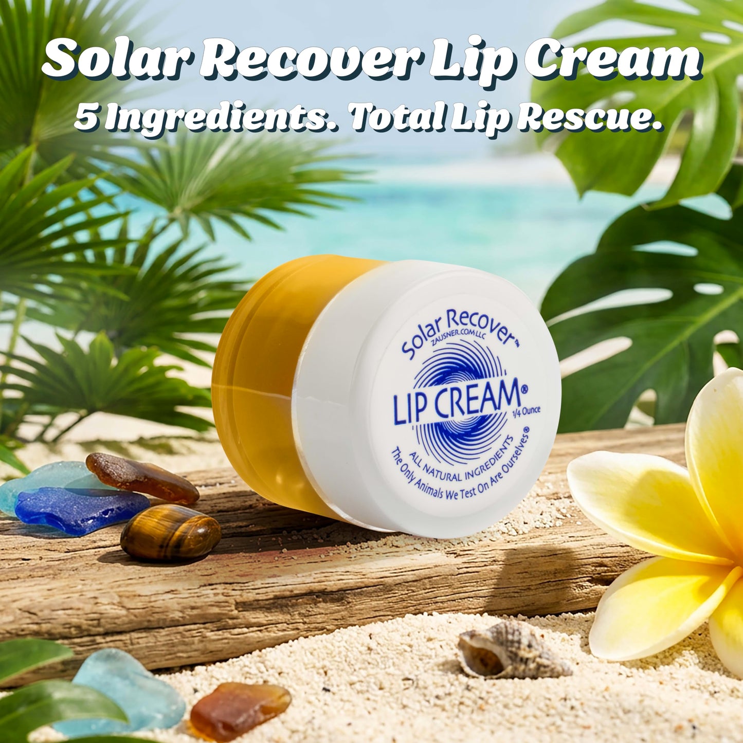 Solar Recover Organic Lip Cream - Deep Moisture Lip Balm with Coconut Oil, Jojoba Oil & Calendula Extract - Healing Lip Treatment for Dry, Chapped Beauty and Personal Care Solar Recover