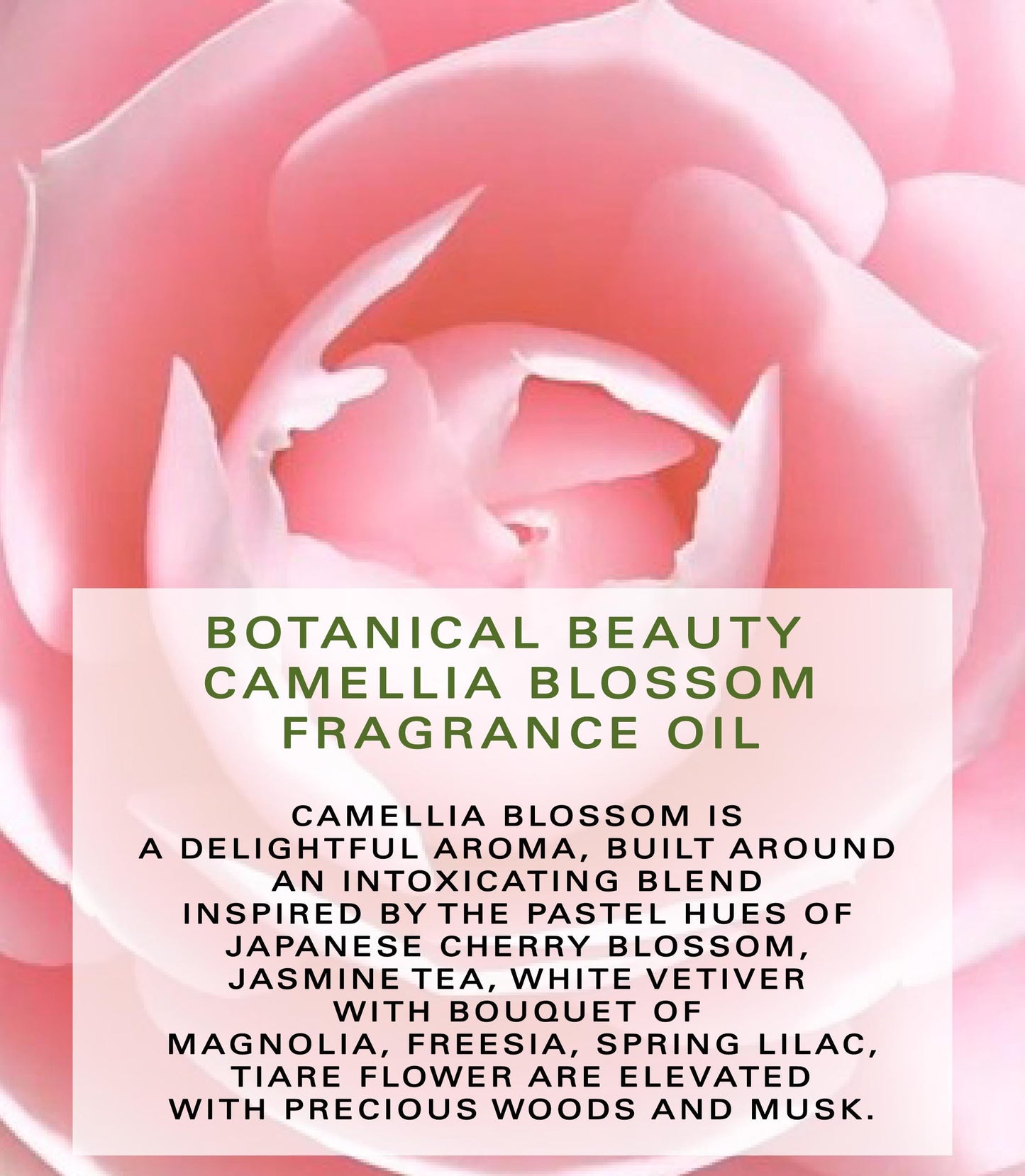 Botanical Beauty CAMELLIA BLOSSOM FRAGRANCE OIL ROLL-ON 0.338 Fl Oz 10 ml Rollerball Perfume, Long Lasting an luxury scent of blend of Magnolia Beauty & Personal Care Botanical Beauty
