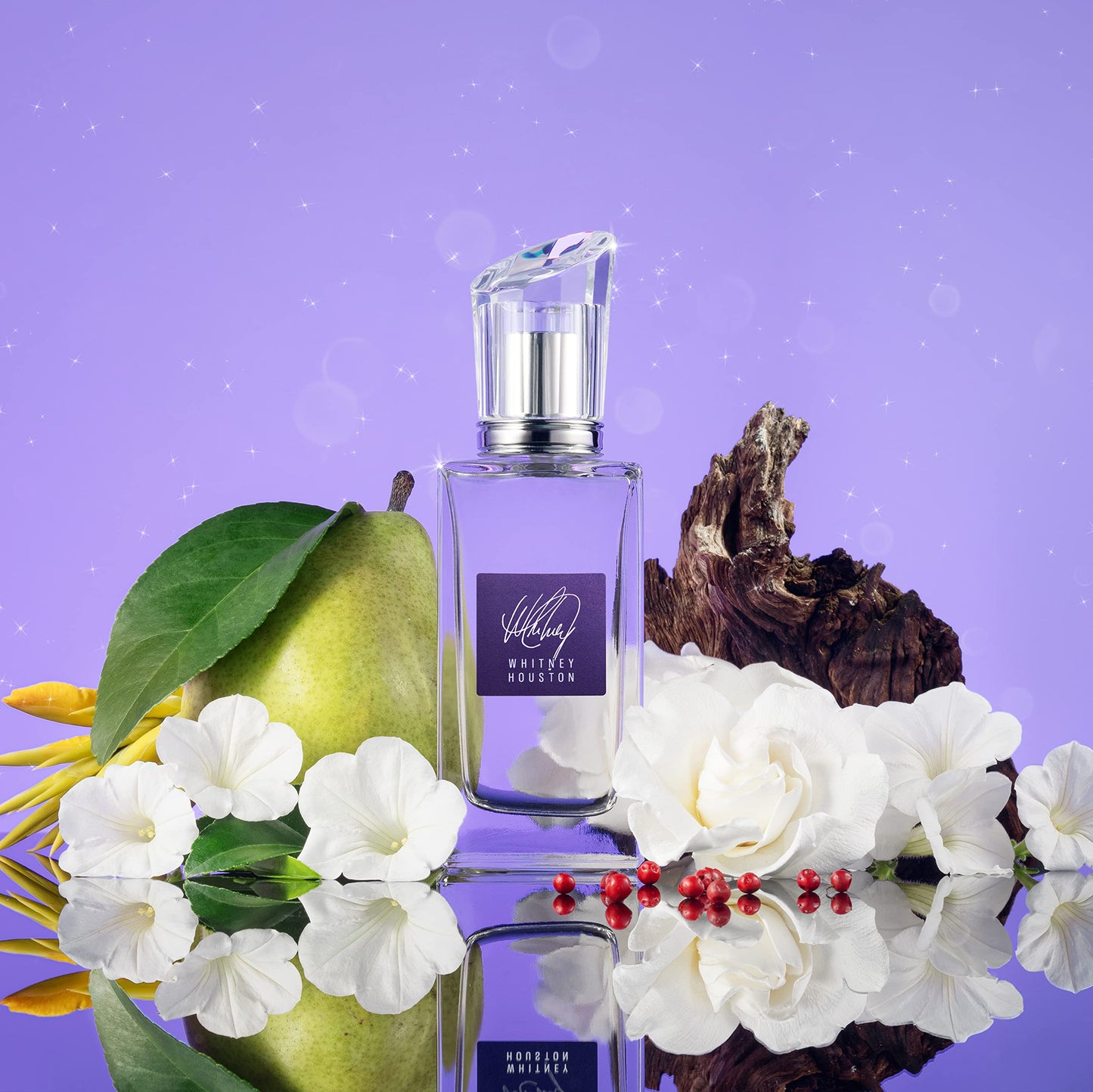 Scent Beauty Whitney Houston - Eau de Toilette - Floral, Fruity Perfume for Women with Notes of Neroli, Jasmine, Cashmere Woods - 1.7 Fl Oz Beauty & Personal Care SCENT BEAUTY