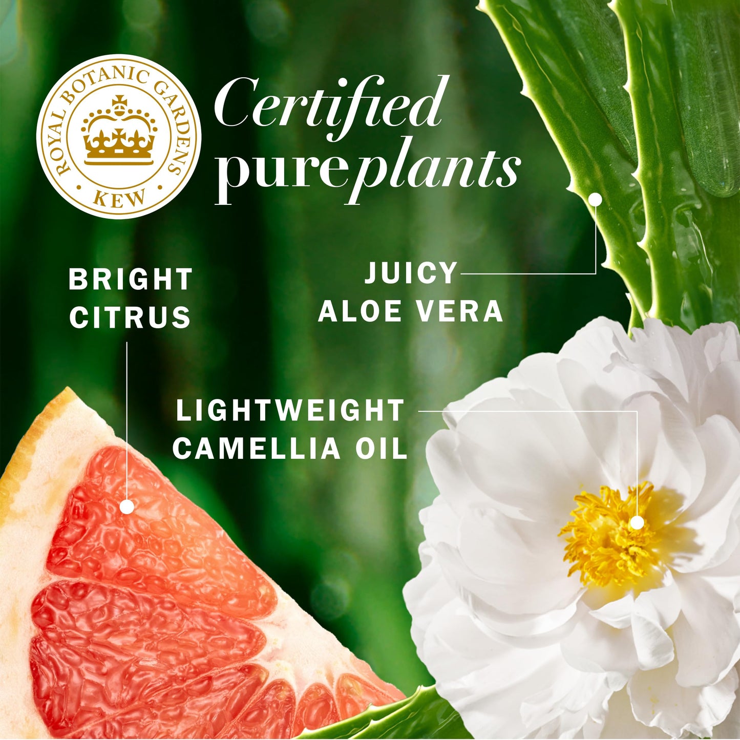 Herbal Essences Grapefruit Volumizing Conditioner, 13.5 Fl Oz, with Certified Camellia Oil and Aloe Vera, For All Hair Types, Especially Fine Hair Beauty & Personal Care Procter & Gamble