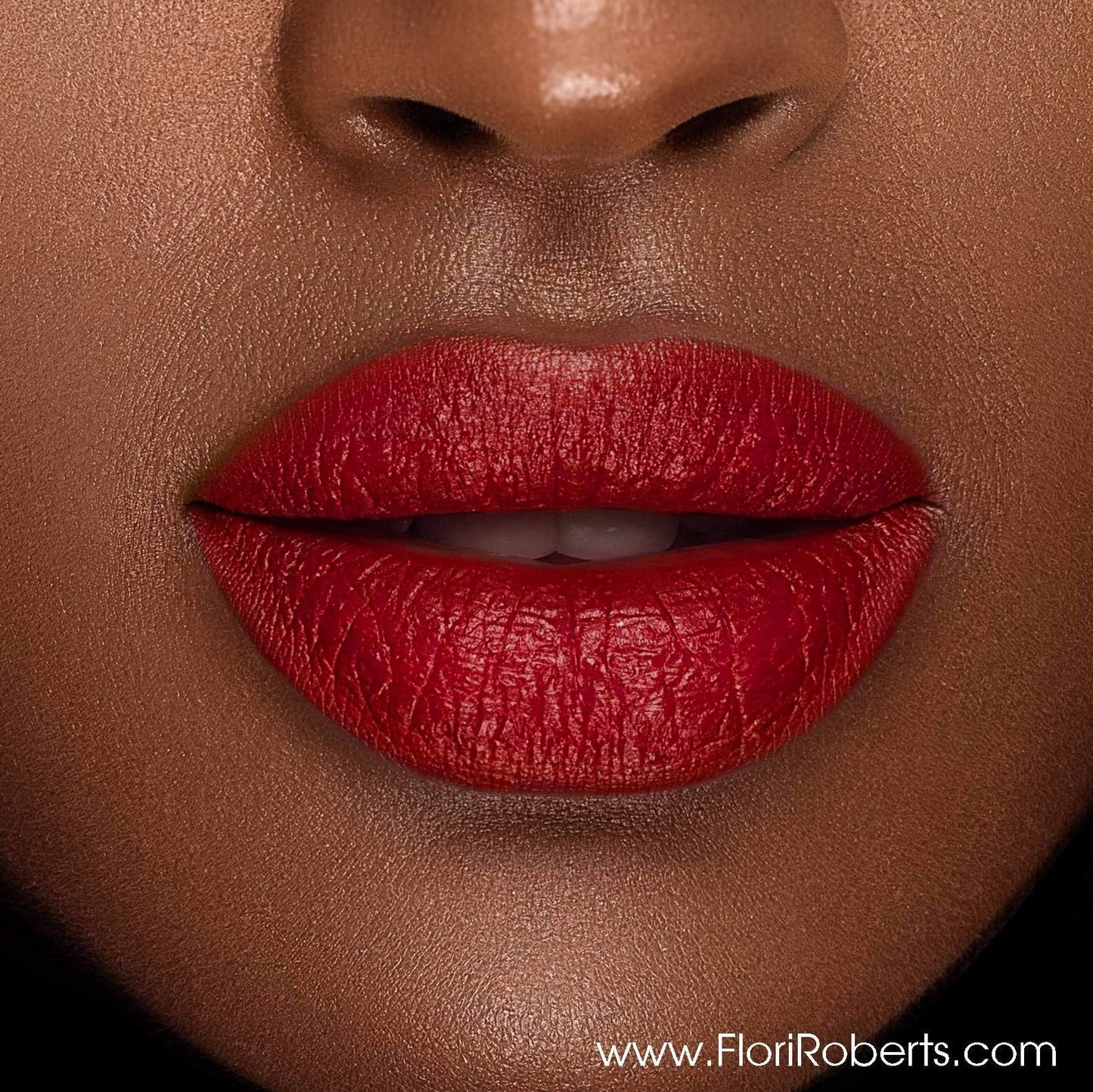 Flori Roberts Luxury Lipstick, Vibrant Lip Makeup for Women of Color or Deeper Skin Tones, Demi-Matte Texture, Hydrates and Conditions Lips Beauty & Personal Care Flori Roberts