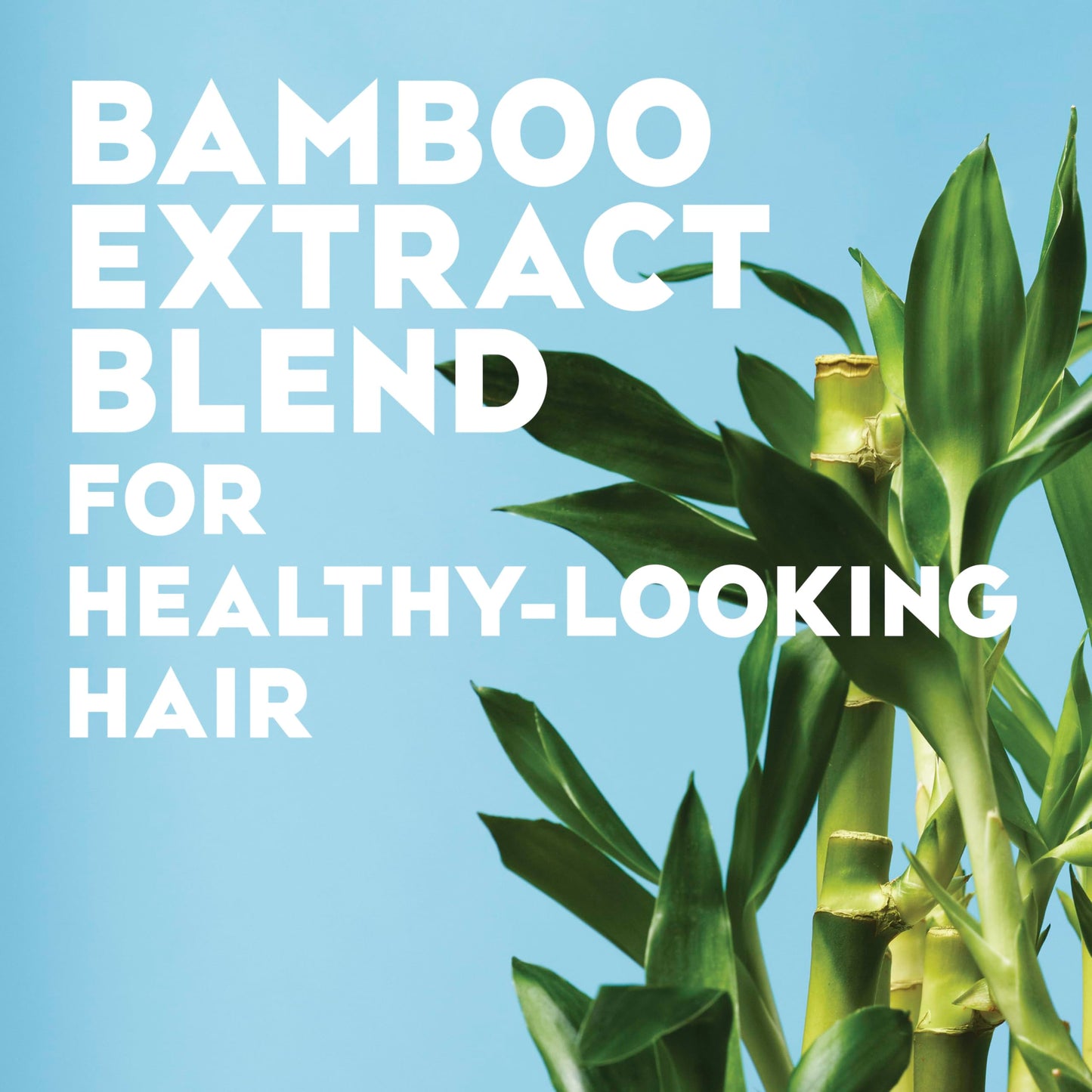 OGX Nourishing + Coconut Oil Weightless Hydrating Oil Hair Mist, Lightweight Leave-In Hair Treatment with Coconut Oil & Bamboo Extract, Paraben Beauty and Personal Care OGX