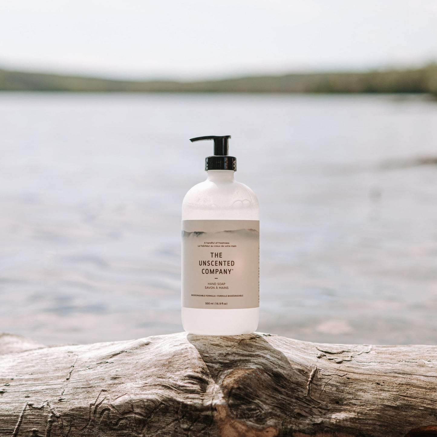 The Unscented Company Hand Soap, Fragrance Free, 16.9 fl oz (500 ml) Beauty & Personal Care The Unscented Company