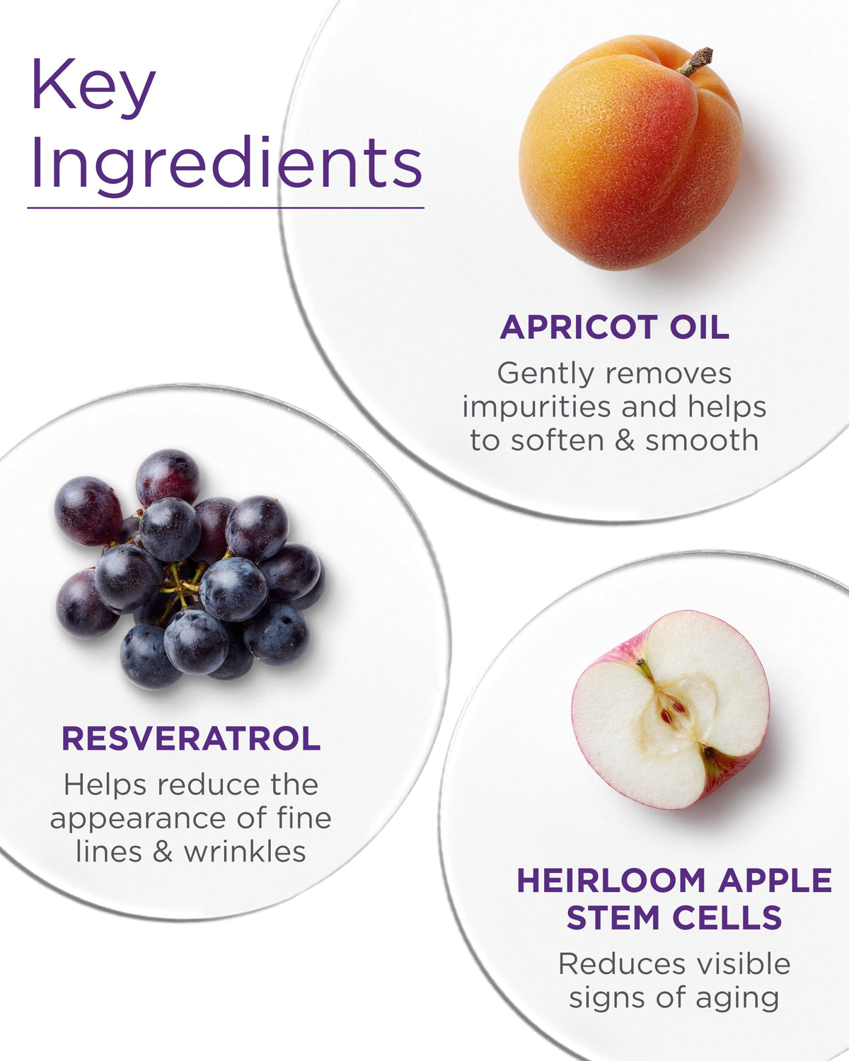 Andalou Naturals Cleaning MLK Apricot Beauty & Personal Care Andalou Naturals