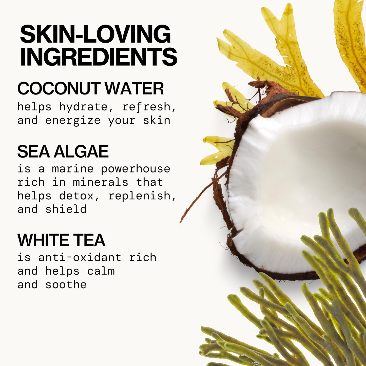 Pacifica Beauty Sea Foam Face Wash, Daily Gentle Foaming Cleanser, With Coconut Water + Sea Algae, Removes Makeup, For Combination and Oily Skin Beauty & Personal Care Pacifica