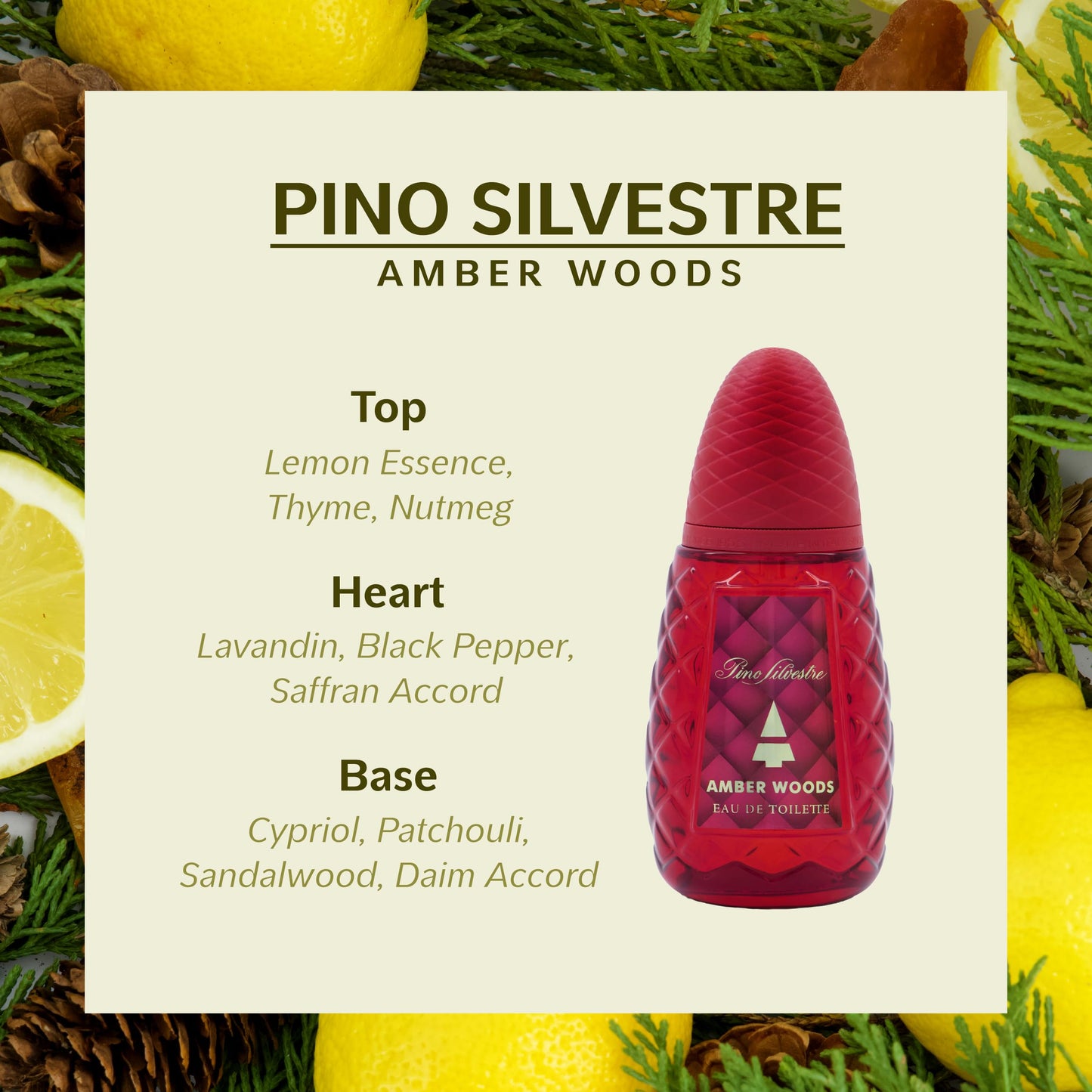 Amber Woods by Pino Silvestre - Perfume for Men - Aromatic, Woody, Spicy Scent - Blended with Lemon, Lavender, Patchouli, and Sandalwood - for Bold Beauty & Personal Care Pino Silvestre