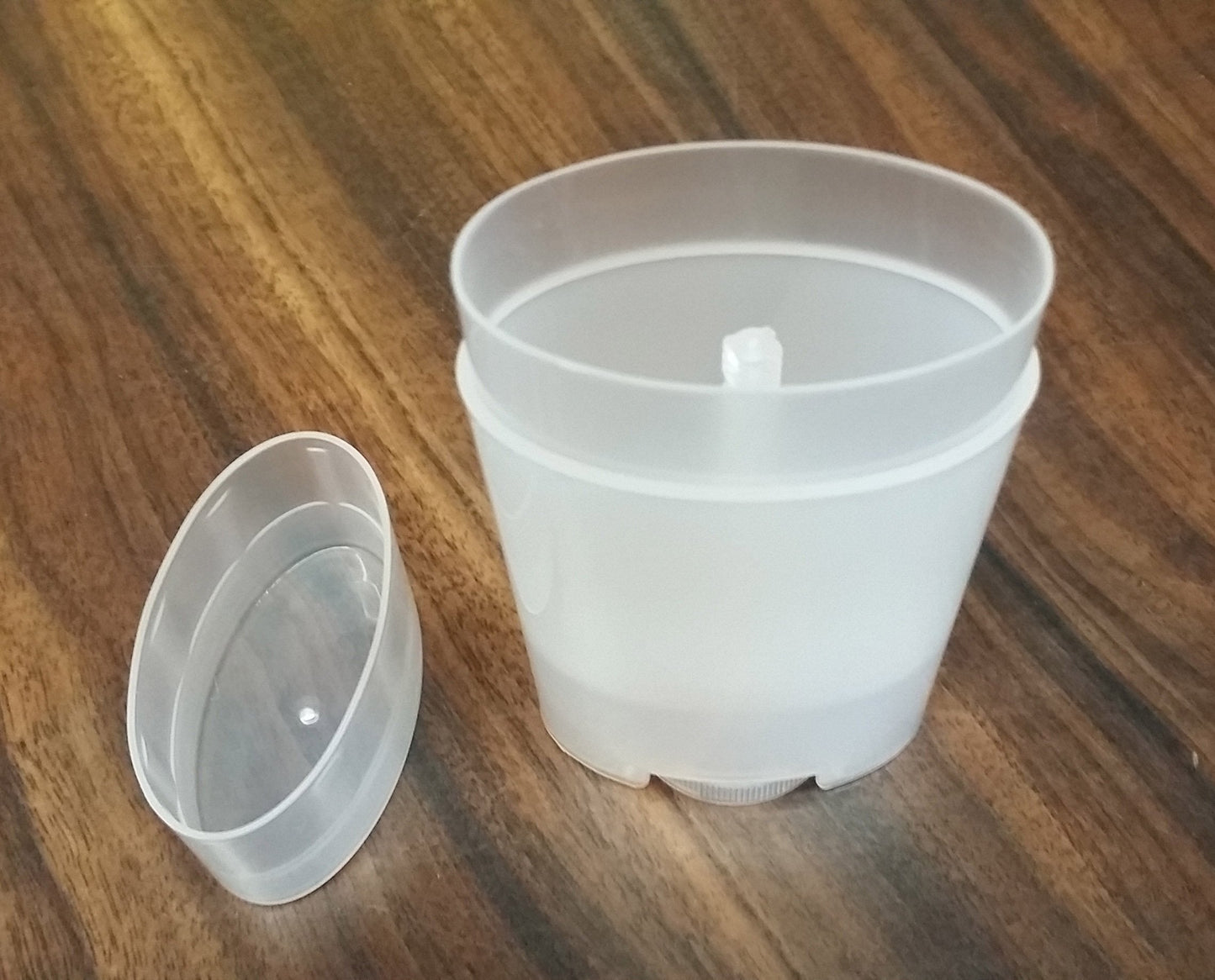 DMtse Deodorant Containers, New & Empty; Pack of 5 Beauty and Personal Care DIY Deodorant Containers