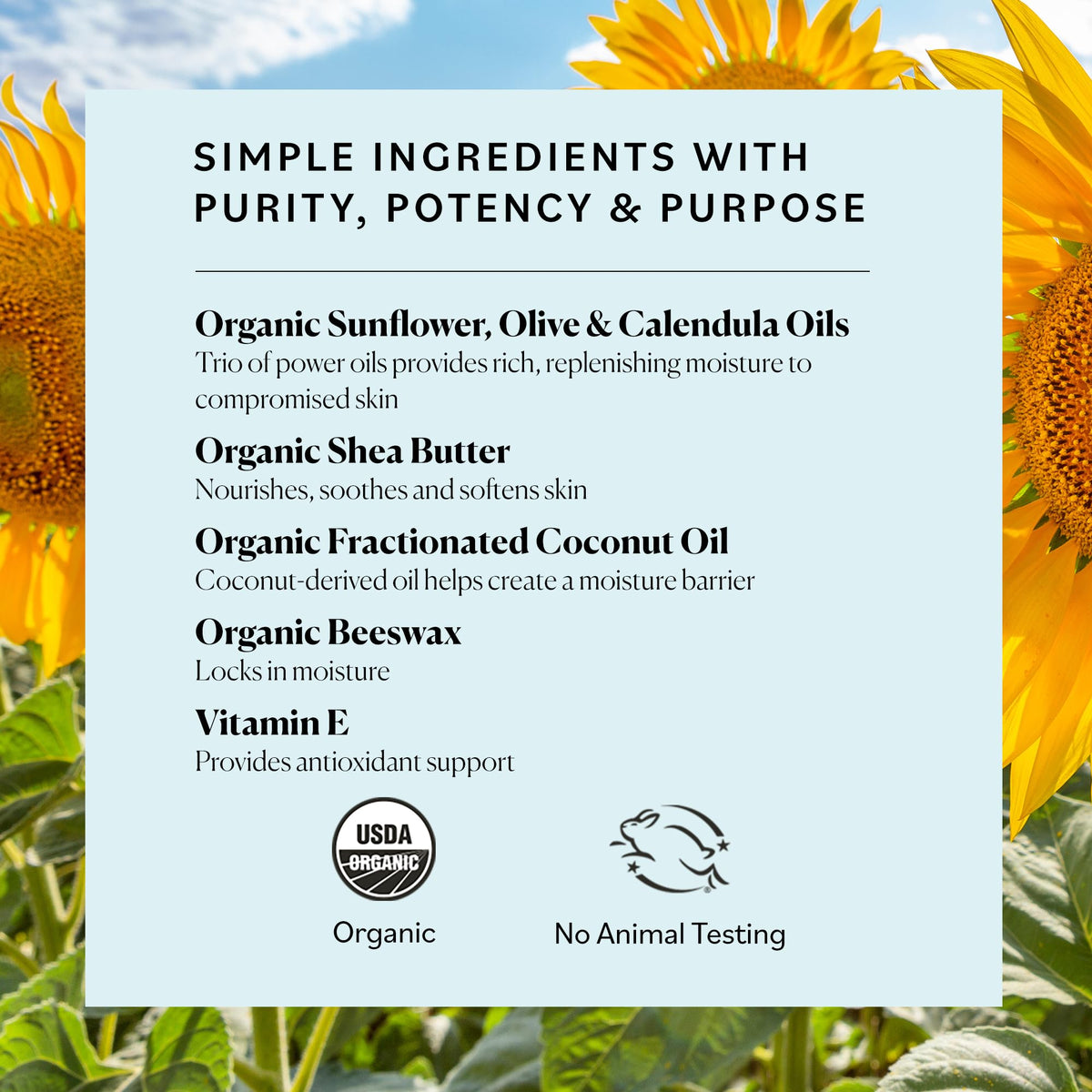 Sky Organics Organic Petroleum-free Jelly, Multi-Purpose Skin Care Balm with Organic Shea Butter, Coconut Oil, Olive Oil & Vitamin E, Moisturizing Lip Beauty & Personal Care Sky Organics
