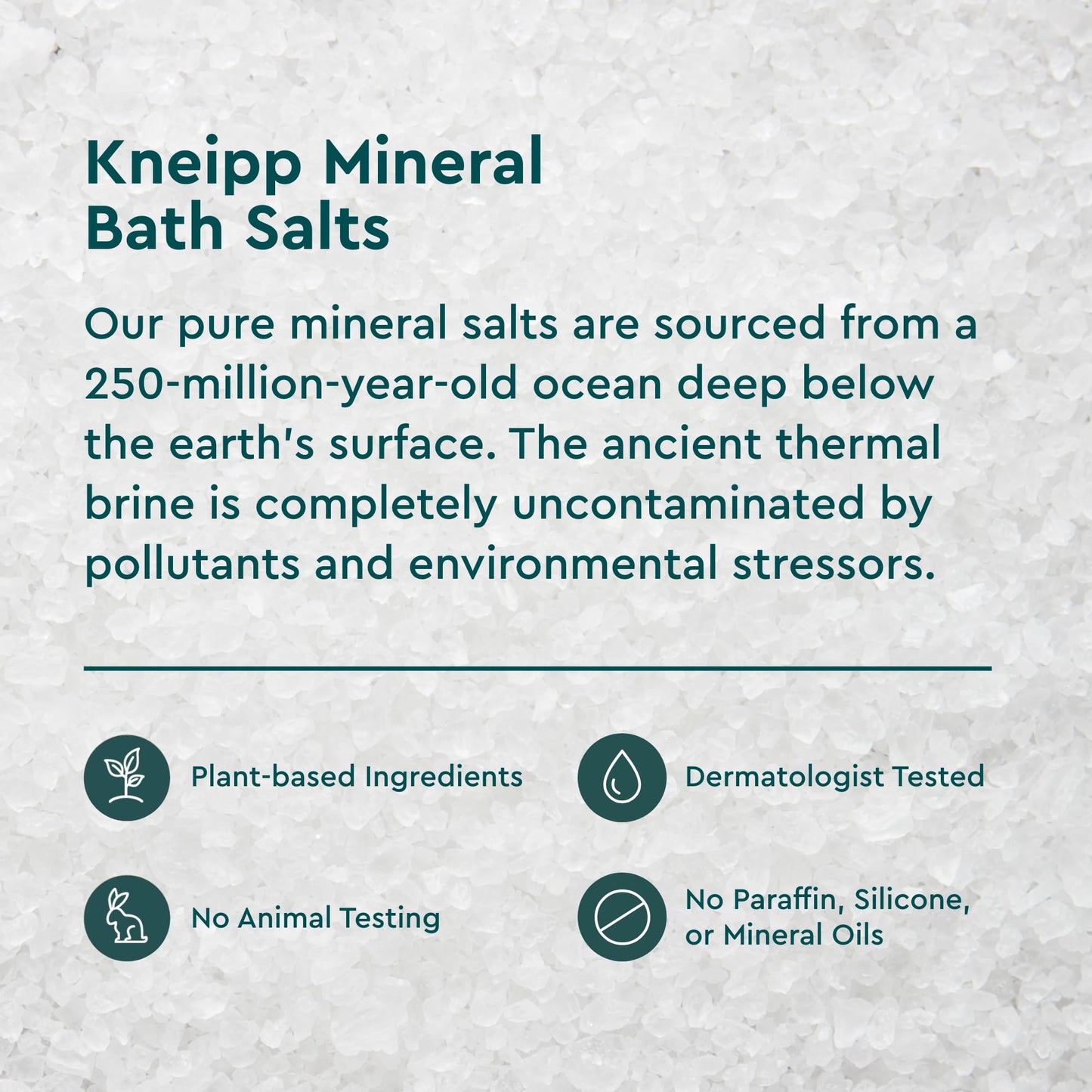 Kneipp Joint & Muscle Mineral Bath Salt with Arnica - Rejuvenate Joints & Muscles - 17.6 oz - Up to 10 Baths Beauty and Personal Care Kneipp