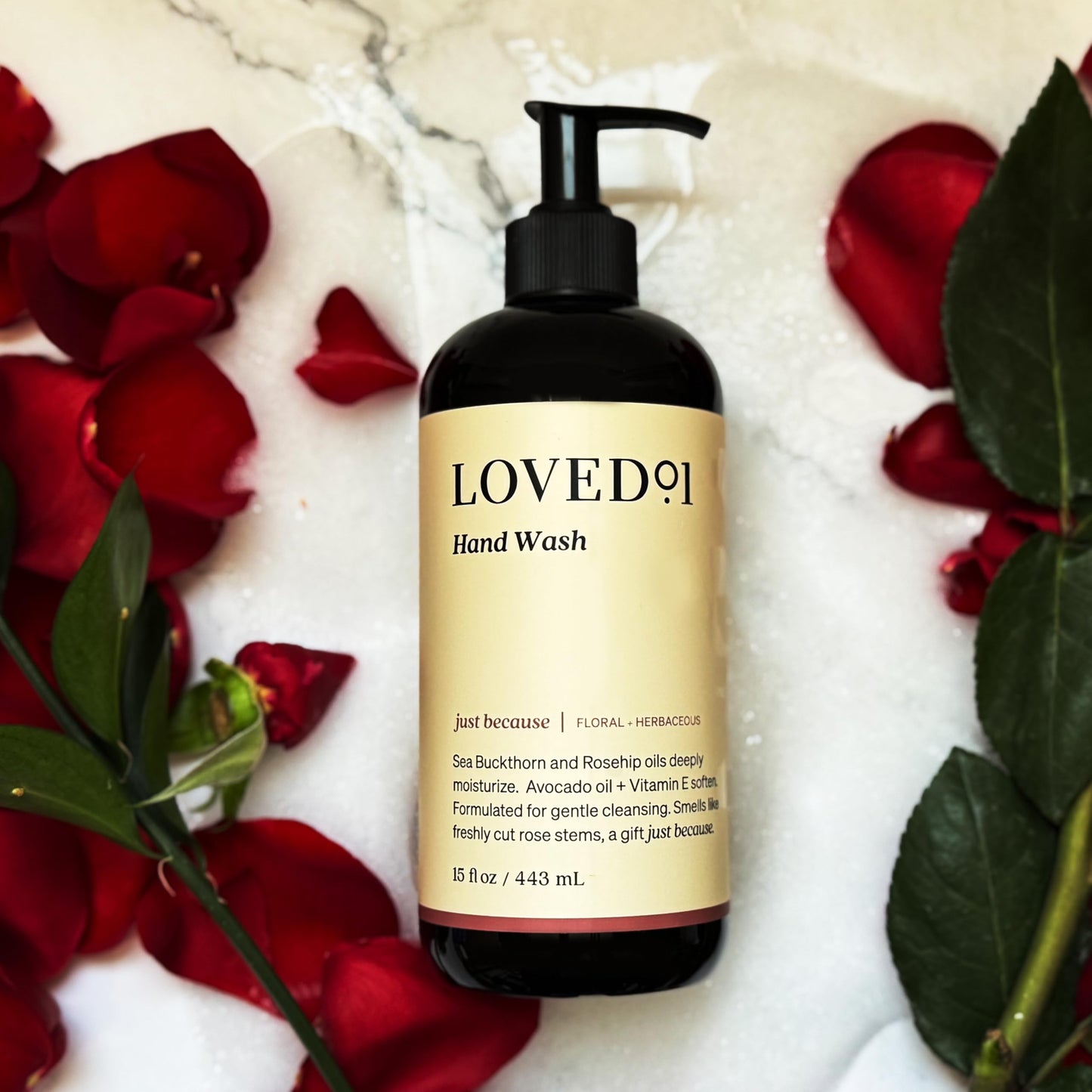 Loved01 Hand Wash & Lotion Set, John Legend Skincare, Oprah's Favorite Things, Floral Scent, Moisturizing Vitamin E, Vegan & Cruelty-Free (15 Oz Beauty & Personal Care Loved01